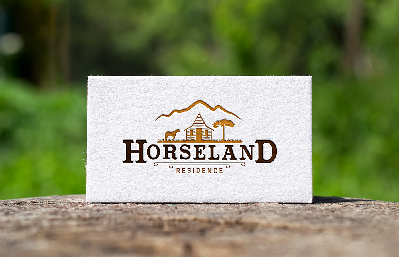 cavalo design haras Hipica horse Horseland equestre residential stable