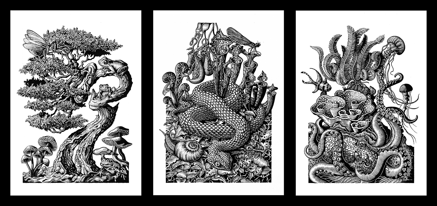 Series of 3 Pen and Ink Drawings on Behance