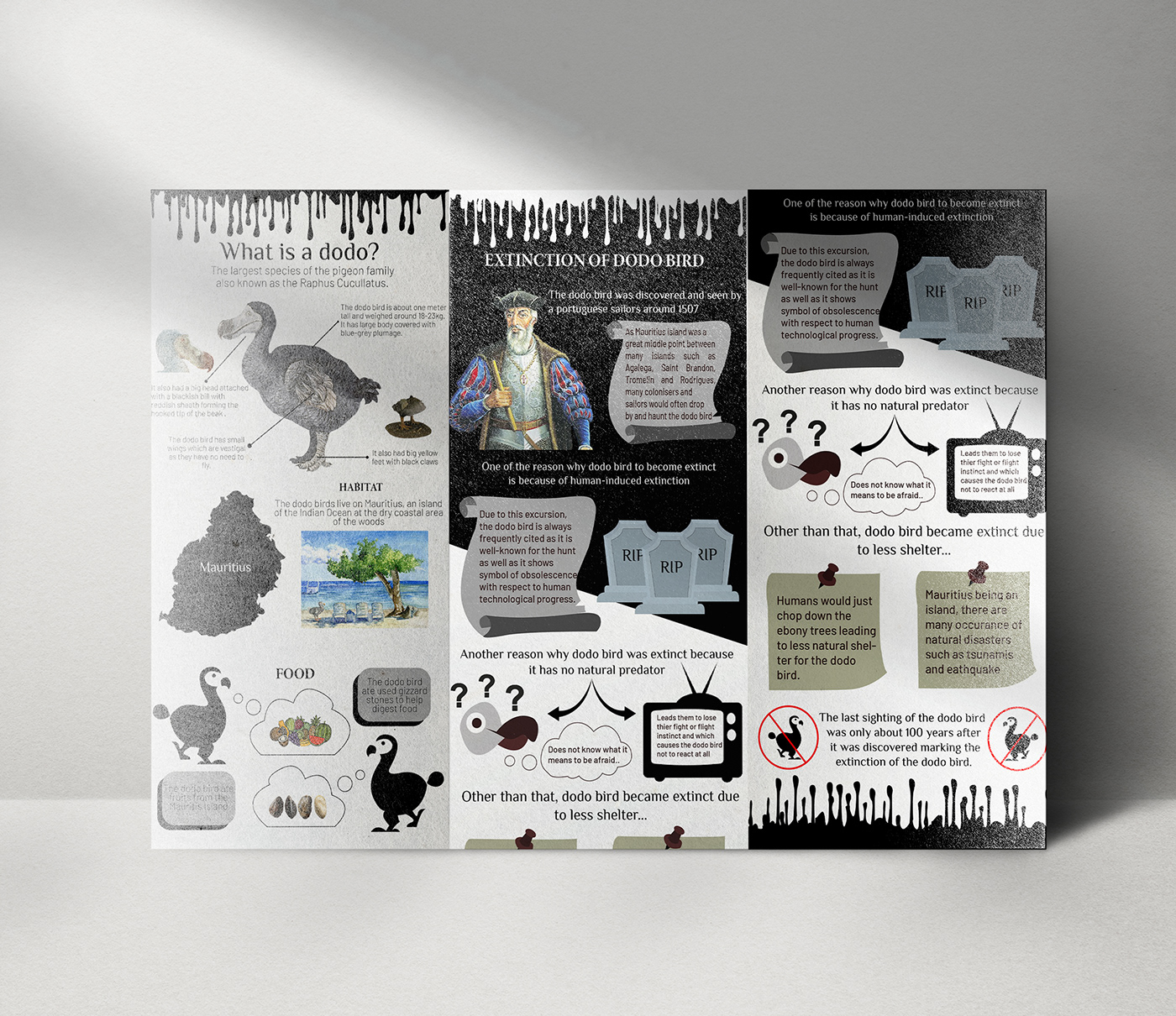 dodo bird Extinction infographics