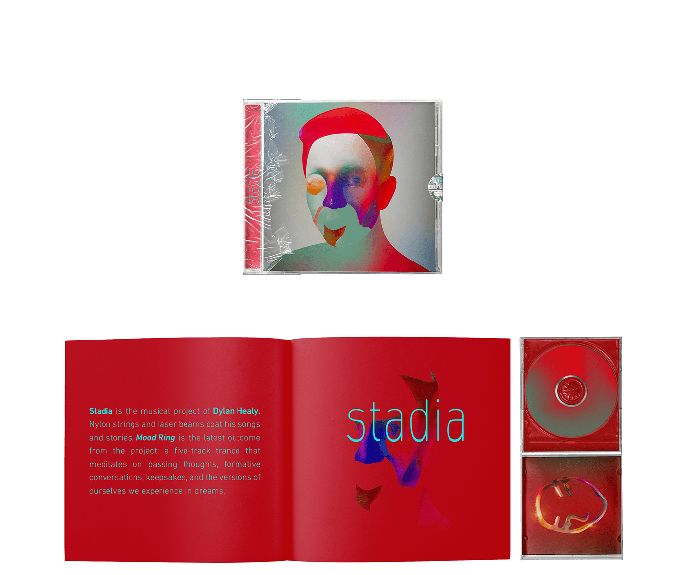 Album album cover cover Cover Art Digital Art  graphic design  music music album portrait visualisation