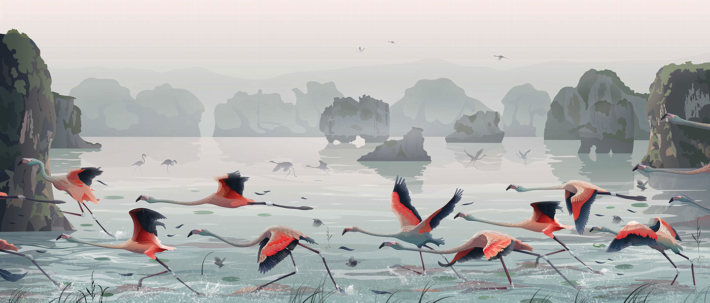 flamingo art ILLUSTRATION  Halong digital characters birds vector adobeillustrator sea