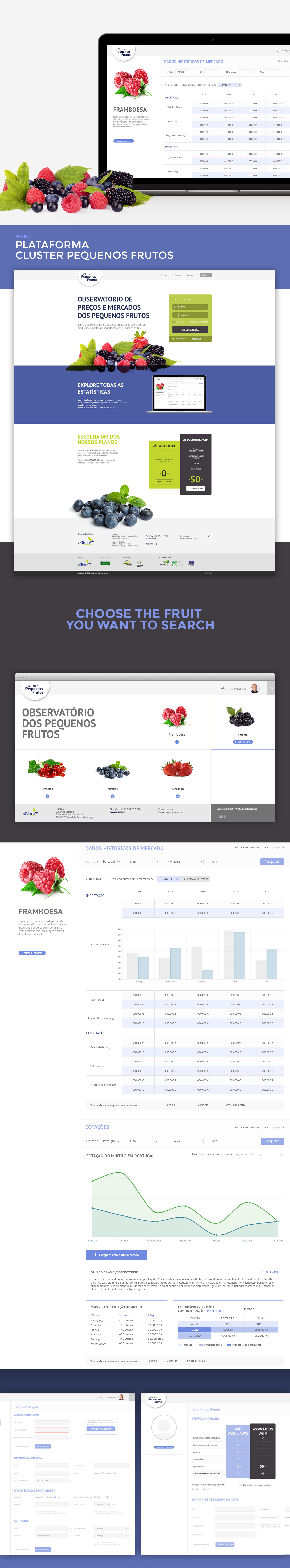 dashboard user interface Webdesign fruits