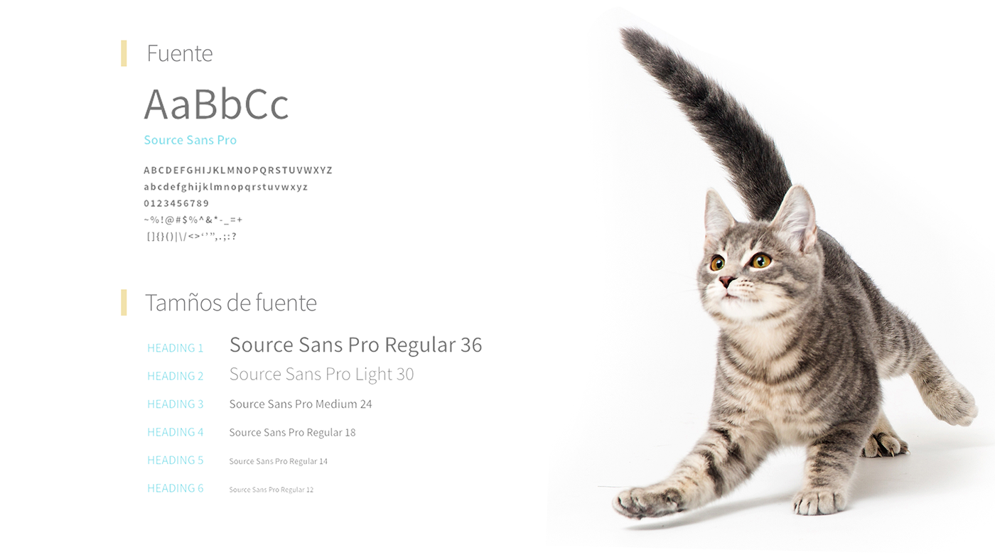 ux/ui Web Design  Ecommerce dog Cat veterinary games.