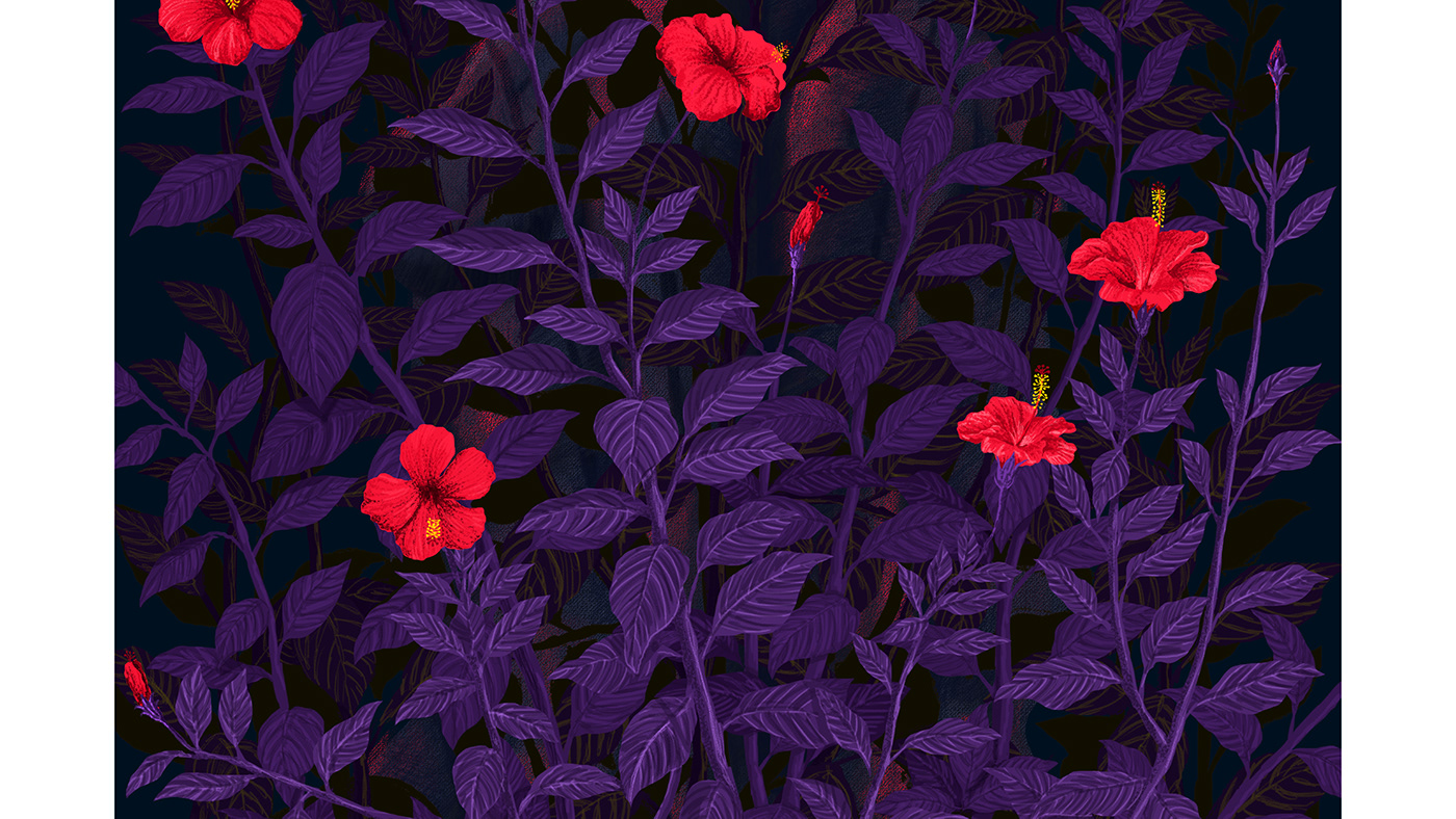 adobe illustrator Adobe Portfolio AdobeSketch art color design Digital Art  digital painting Flowers ILLUSTRATION 