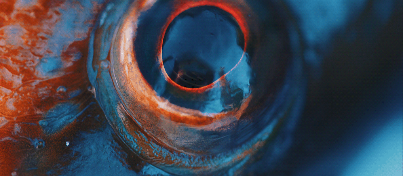 hunter sea Ocean Nature Landscape drone Photography  Film   diving fish