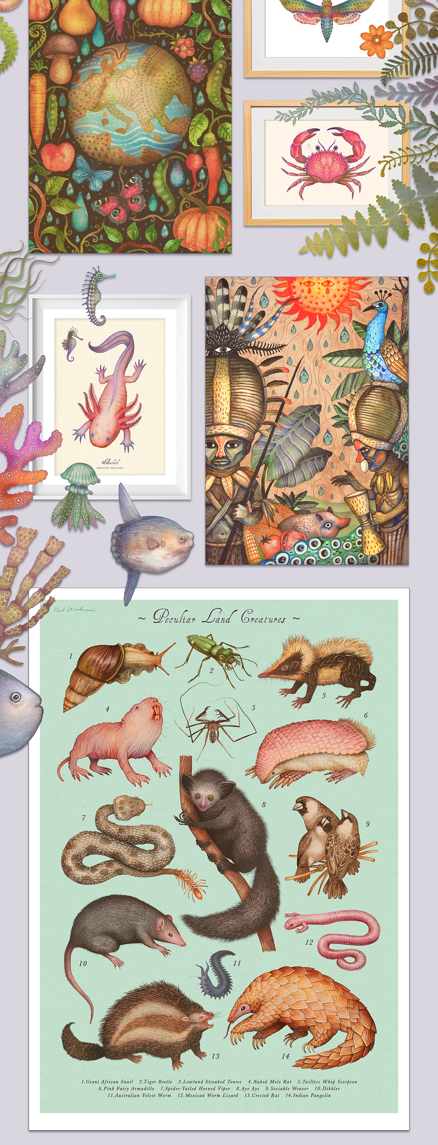 art prints etsy artist ILLUSTRATION  picture books Vlad Stankovic natural history cute etsy art gifts gifts