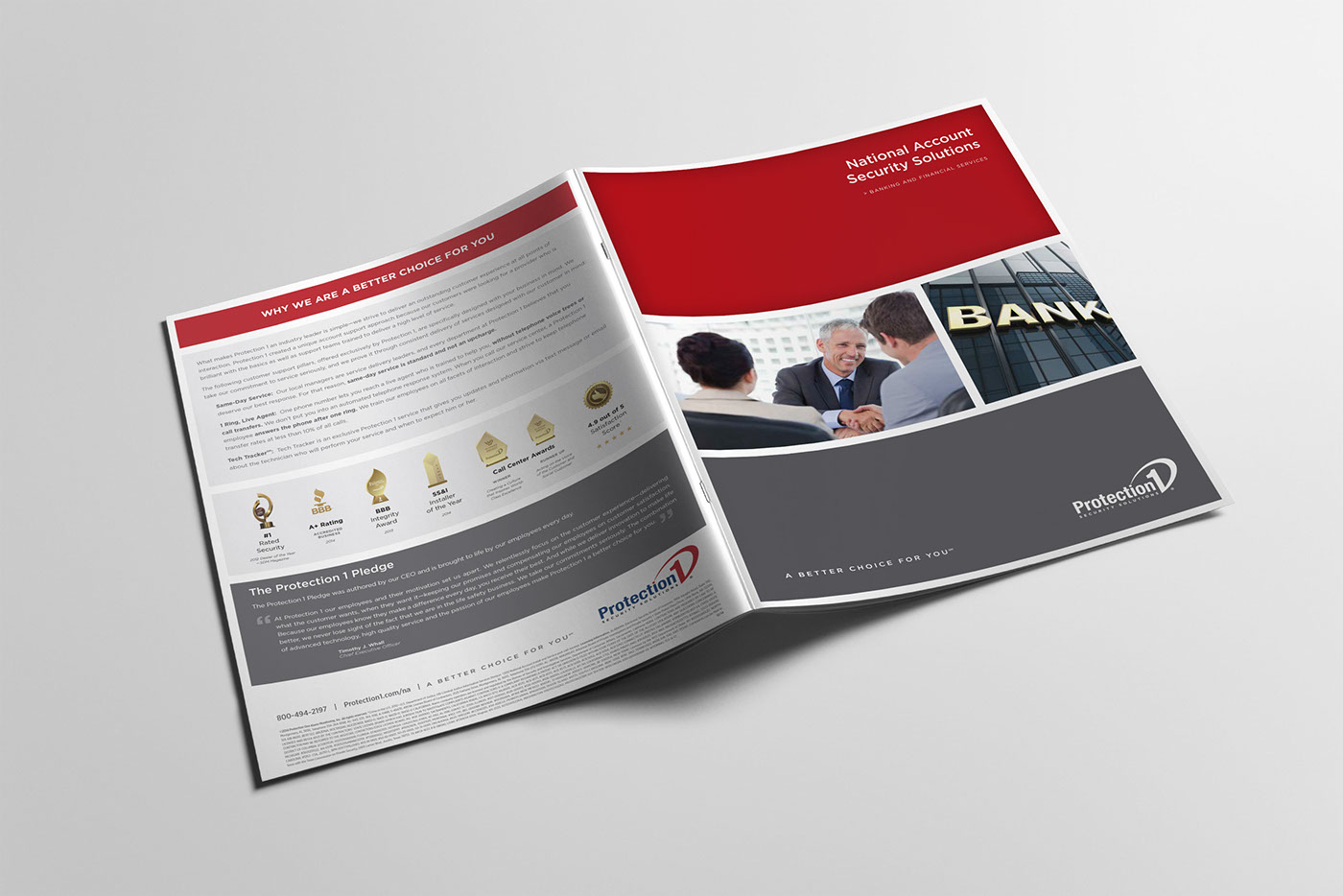brochure CaseStudy White Papers national Business security