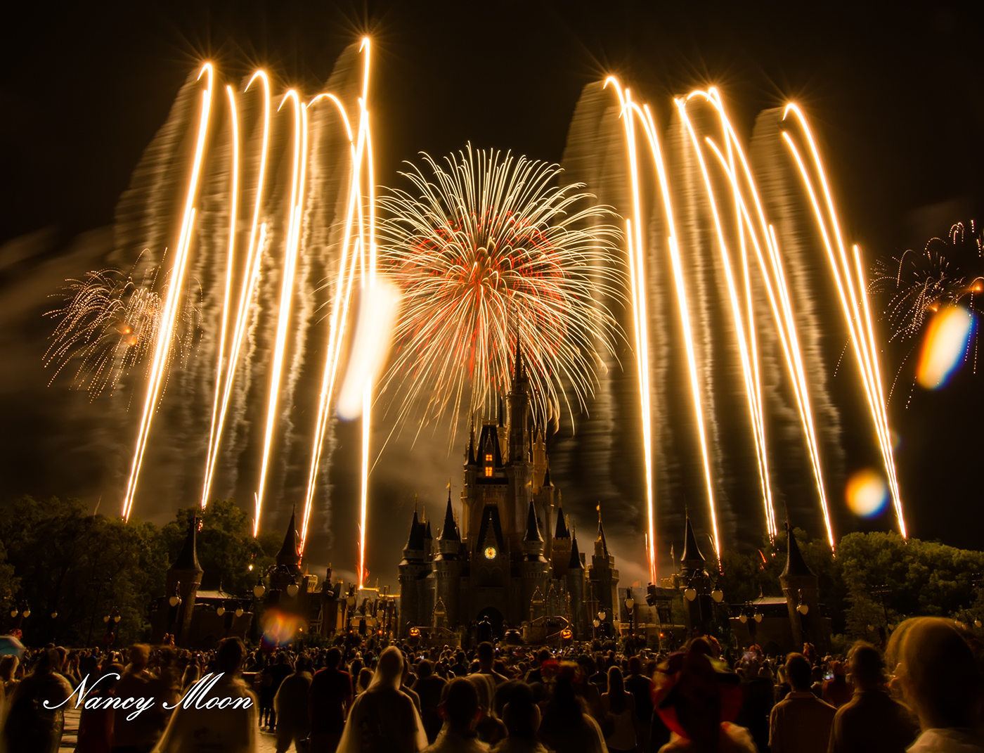 Adobe Portfolio fireworks disney magic kingdom wishes