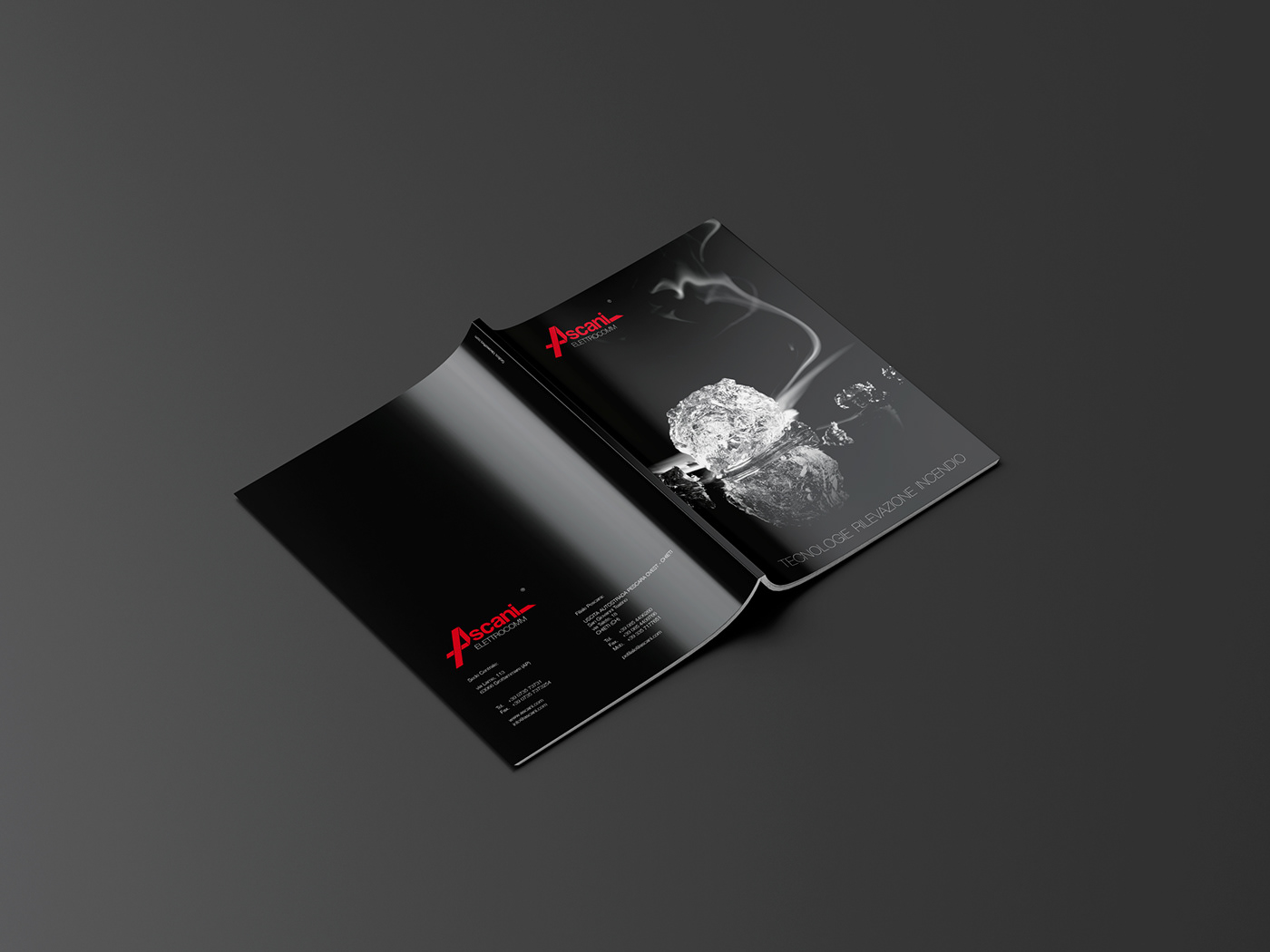 Adobe Portfolio Corporate Identity folder letterhead envelope brand graphic Catalogue brochure cover company profile