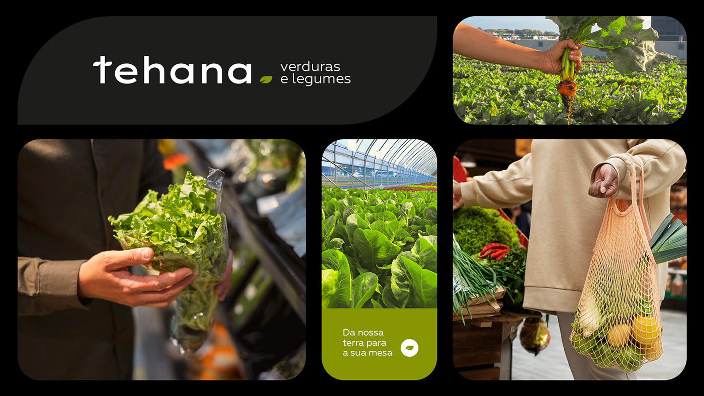 marca brand identity Logo Design Alimentos verduras vegetables organic natural Packaging