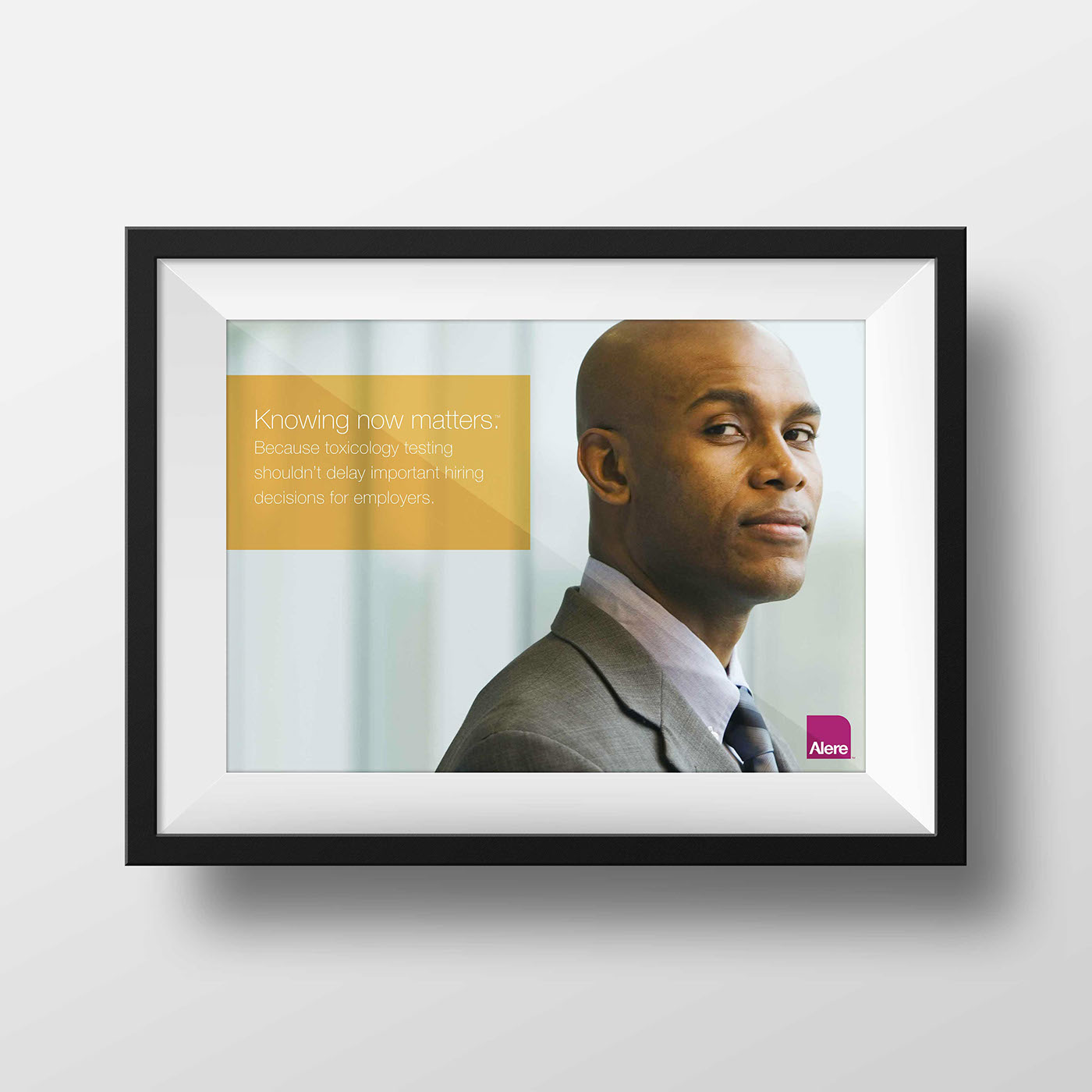 Alere corporate plexiframe Wall hangings InDesign frames