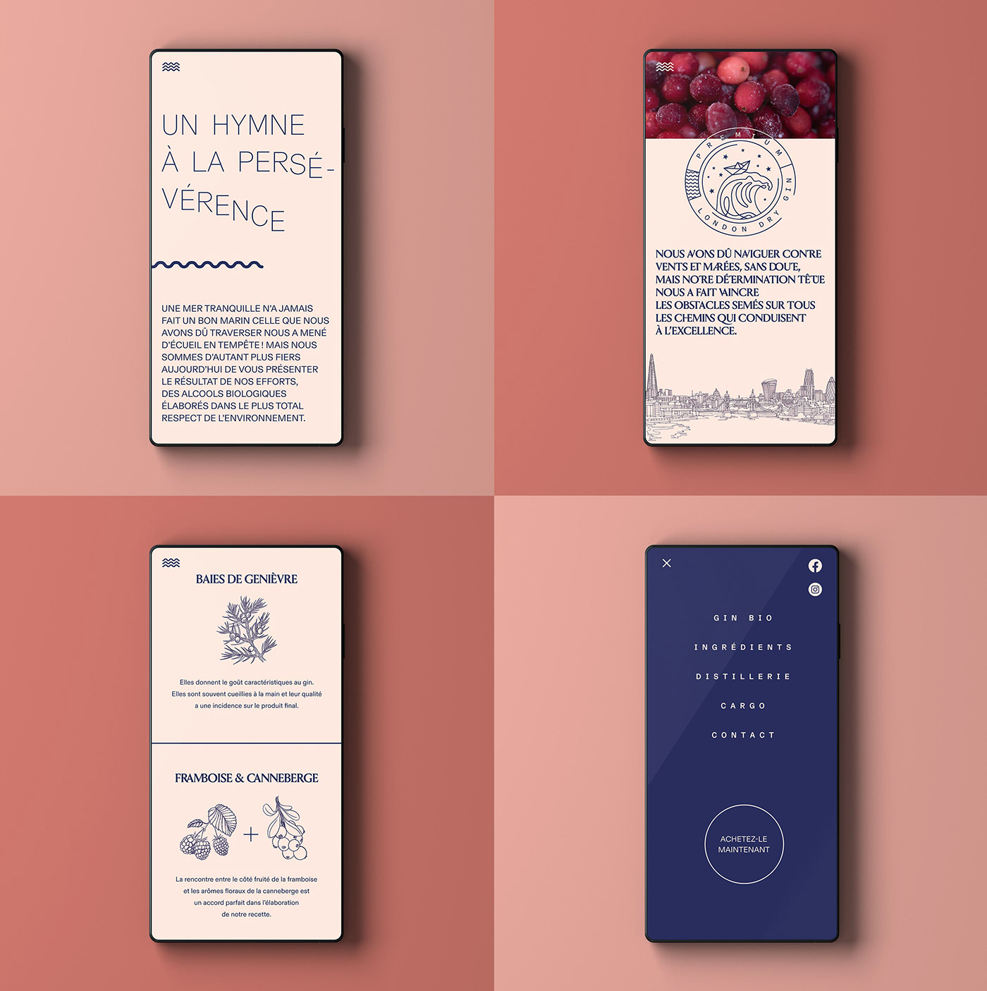 alcool distillery gin spirit luxury Packaging typography   visual identity branding  UI ux