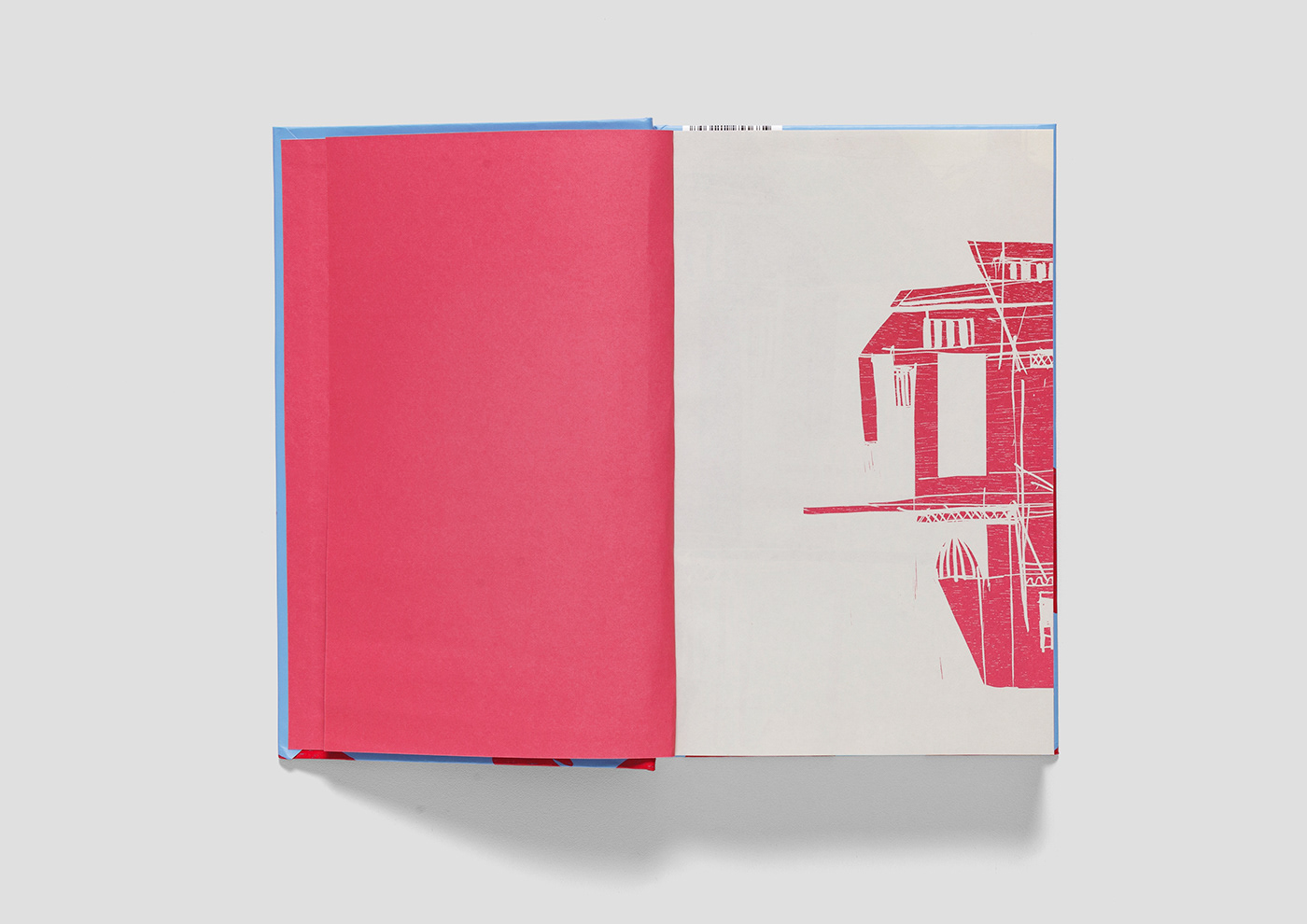 Bookdesign bookcover editorial design print InDesign editorial design  book cover