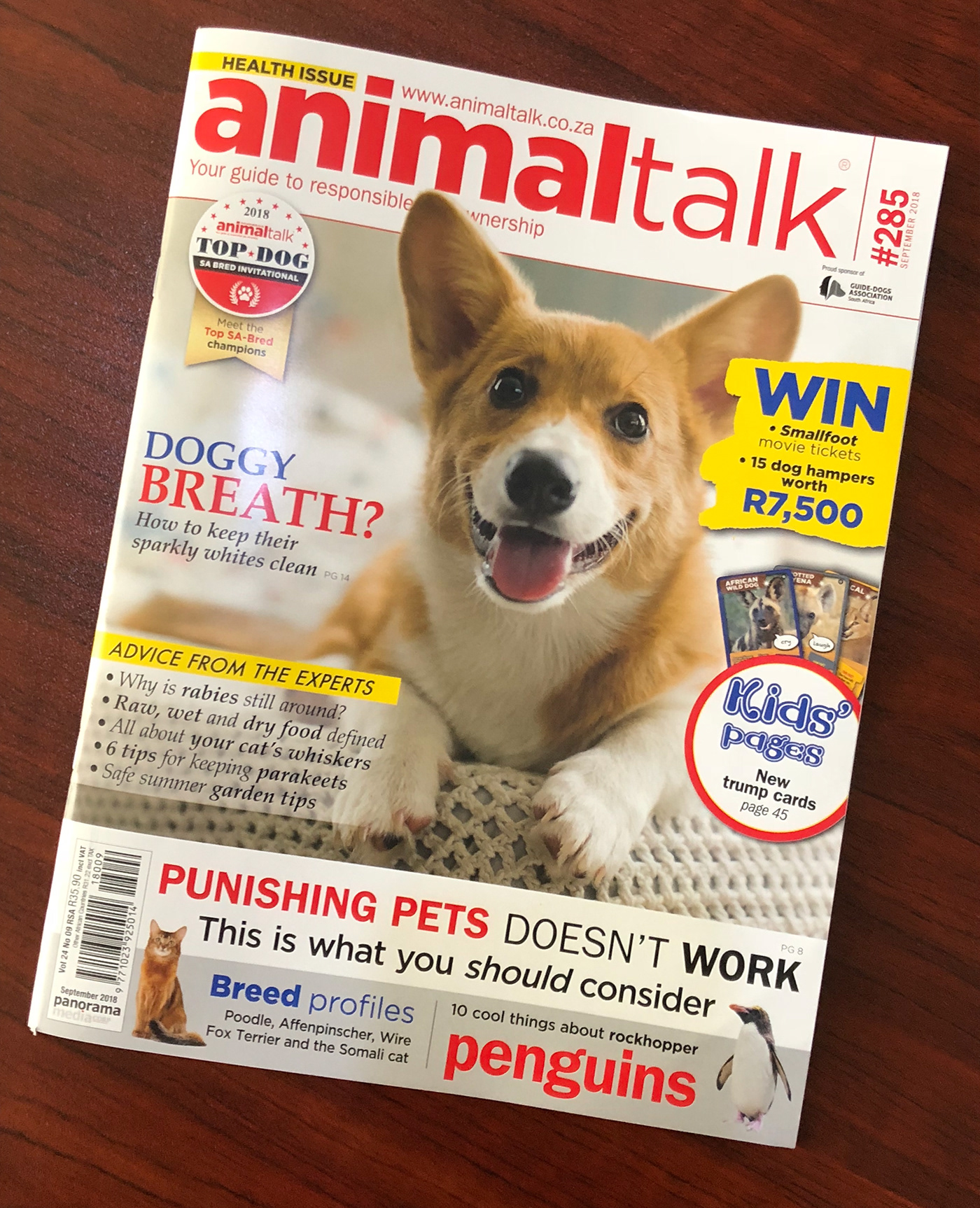 print ad design Layout Pet magazine