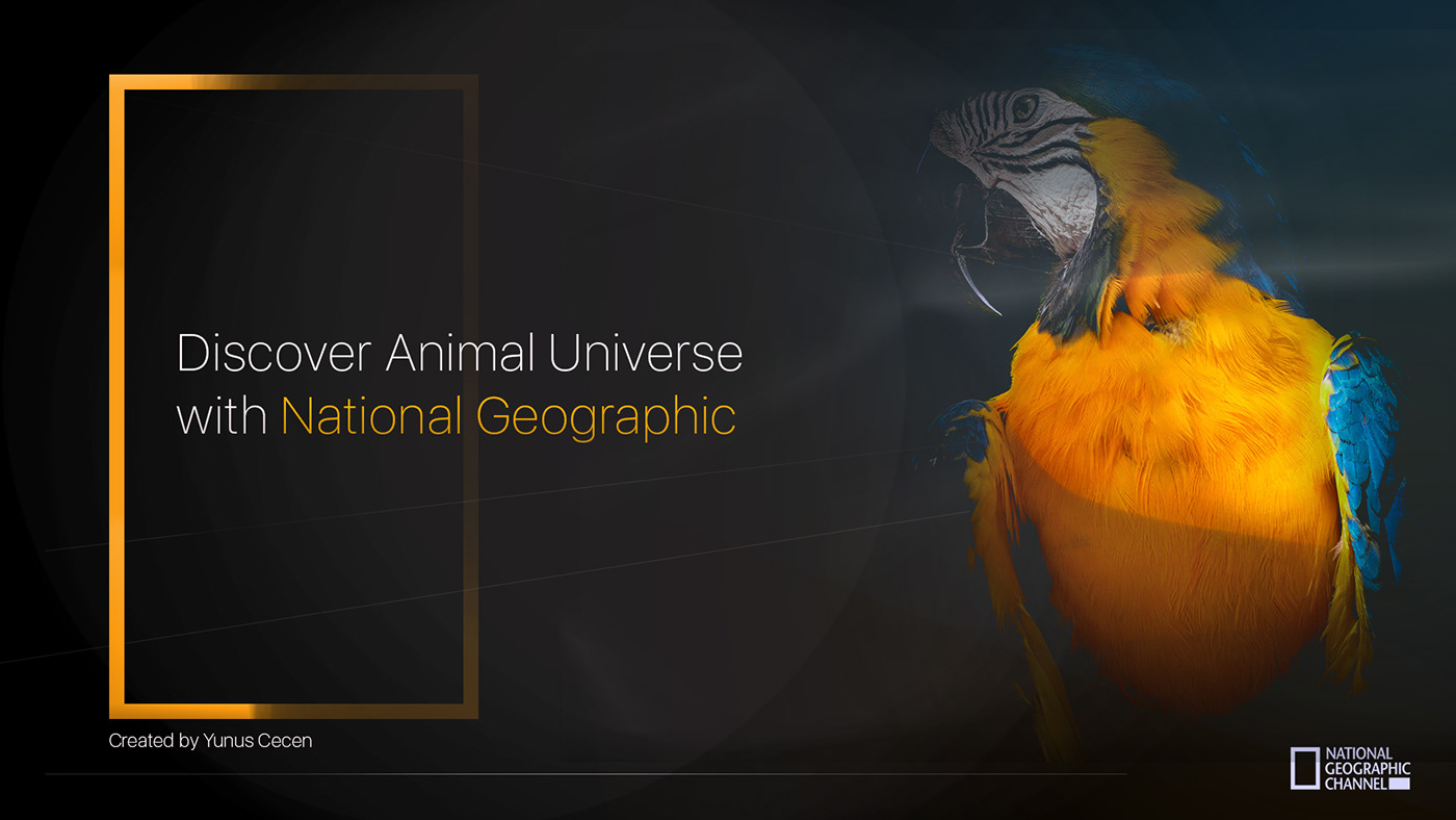 banner design national geographic design photoshop animal universe