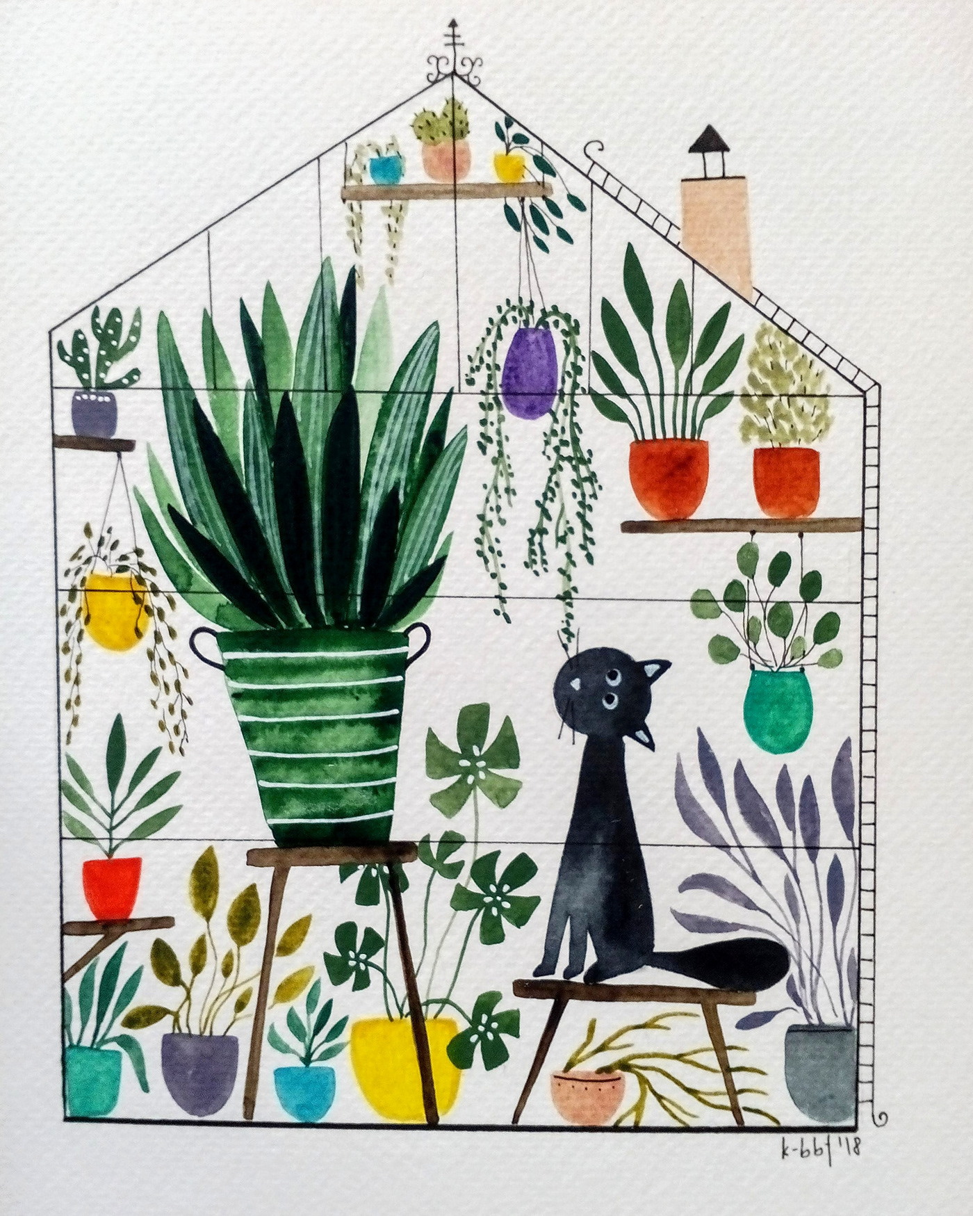 watercolor greenhouse botanical art ILLUSTRATION  houseplants creative botanical illustration cactus Monstera plant love