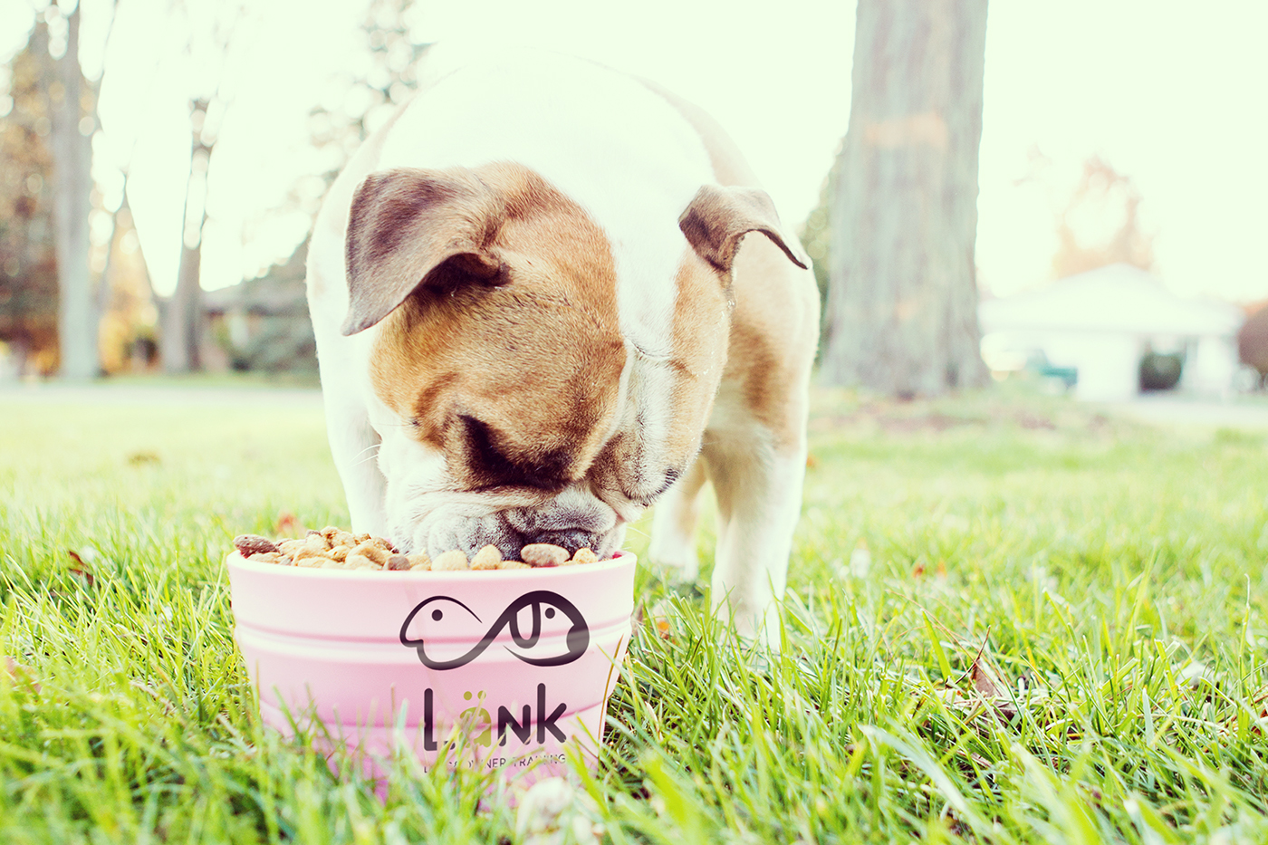 lank logo dog training Pet dmcreatividad