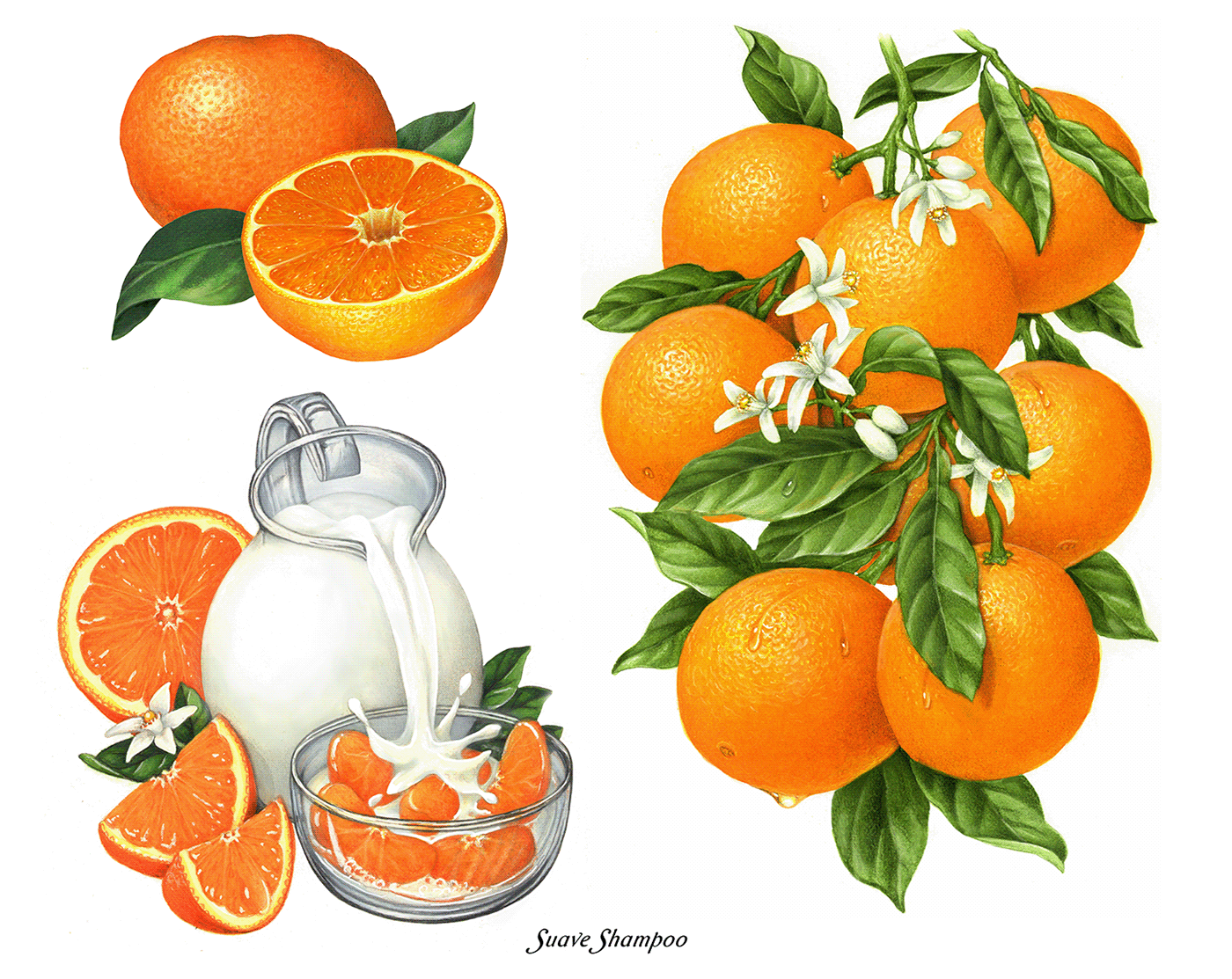 Orange illustrations used on packaging.
