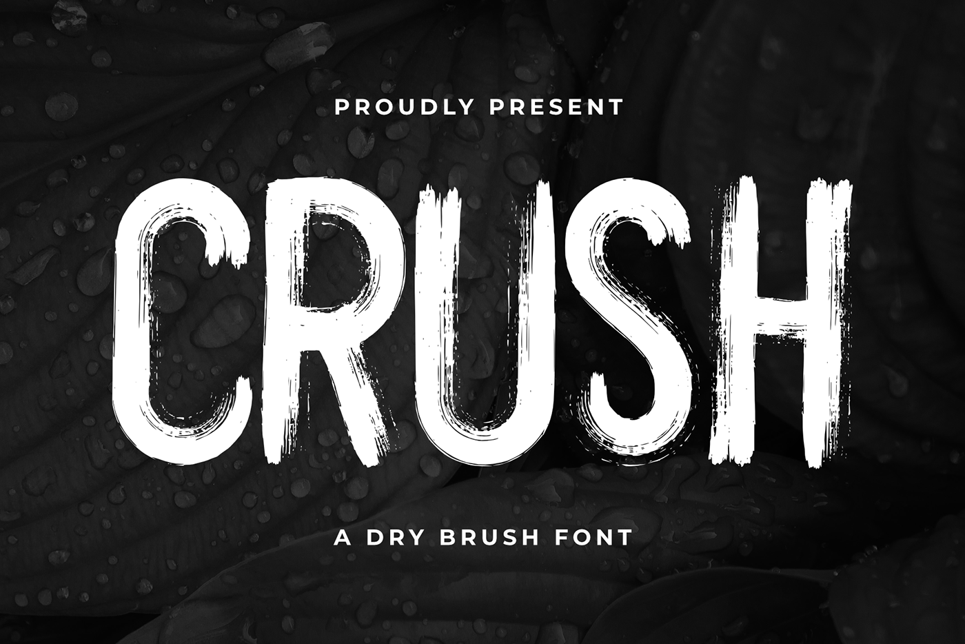app bold brush CONDESNSED Crush Film   font game movie serif