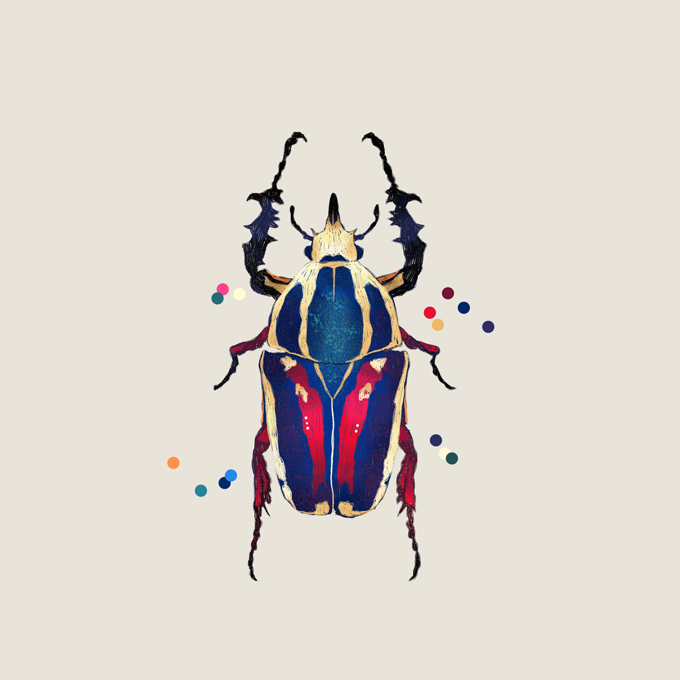 artwork beetle bug bugs Digital Art  Drawing  ILLUSTRATION  Insects Nature sketch