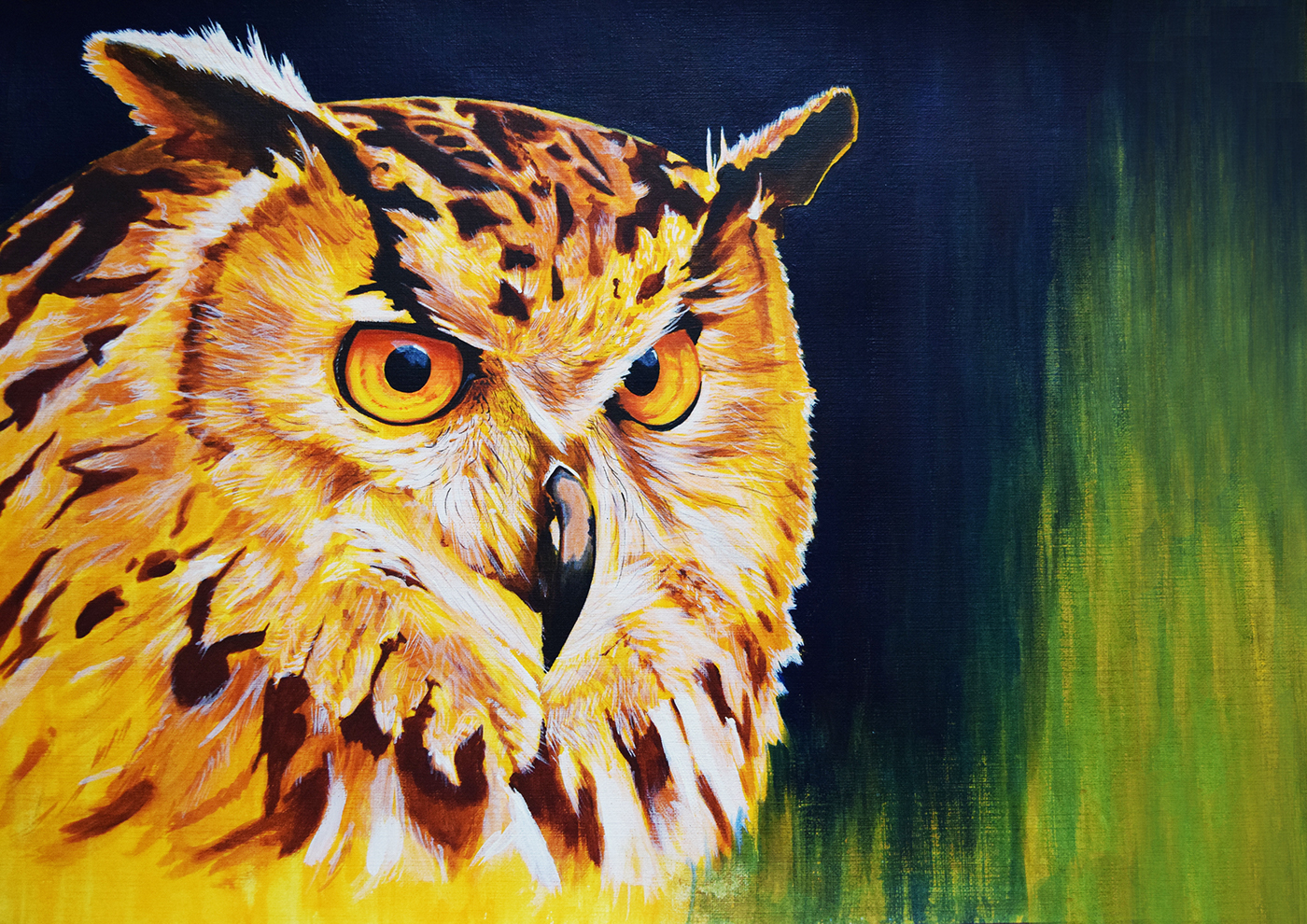 animal owl watercolor buh animales pintura paint