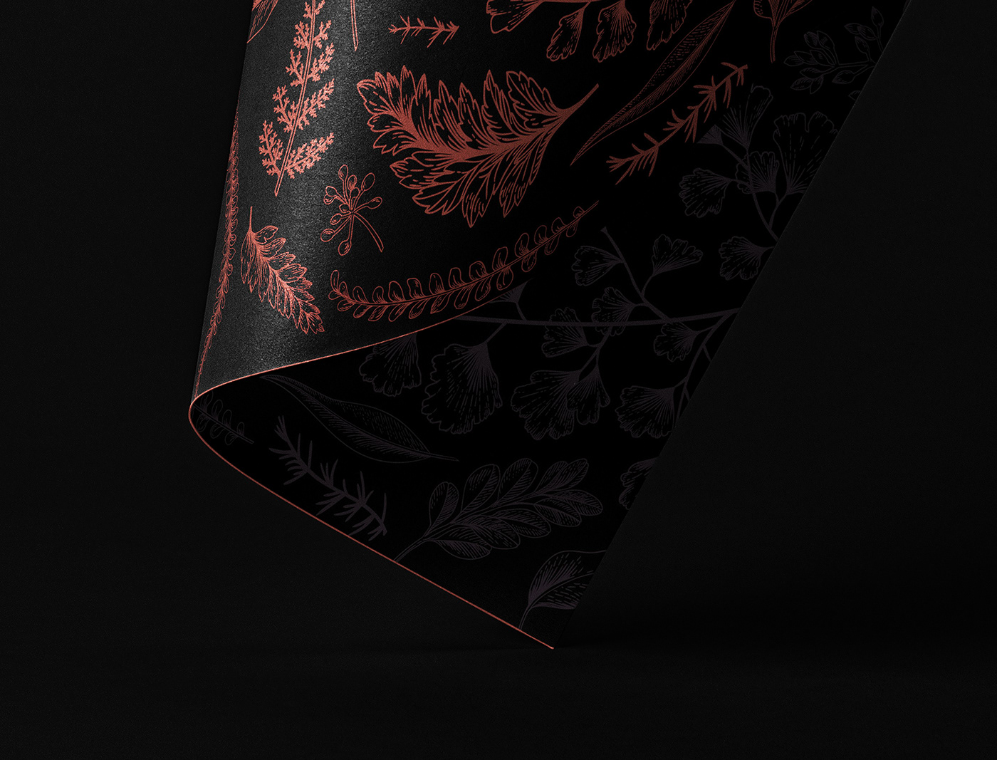 artwork botanical design Digital Art  ILLUSTRATION  Procreate vector Wrapping paper