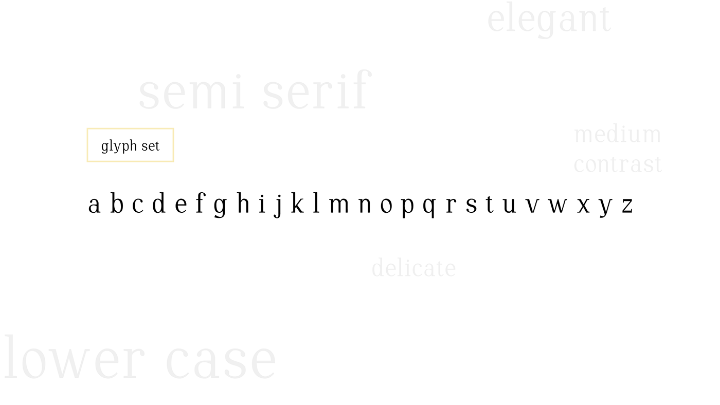 type font Tyoeface typography  