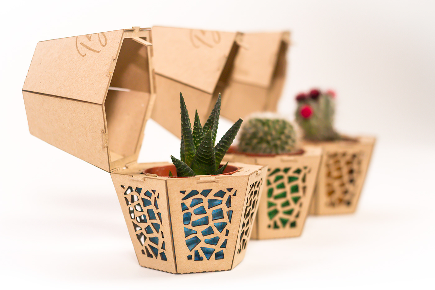 cactus Packaging barcelona Ecopack
