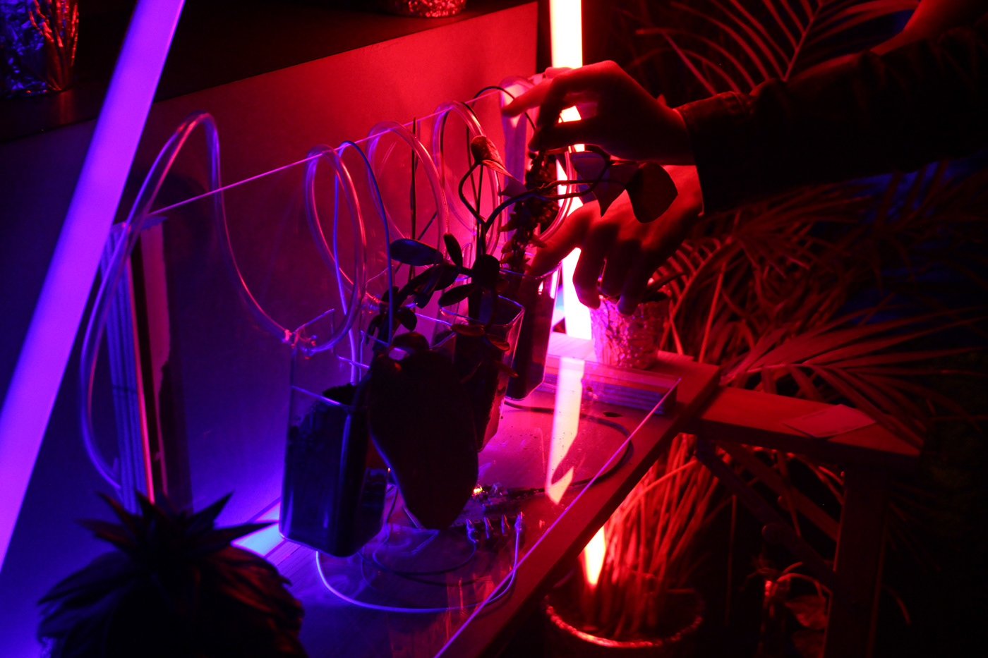 installation interactive biofeedback vaporwave neon light plants Nature Digital Art 