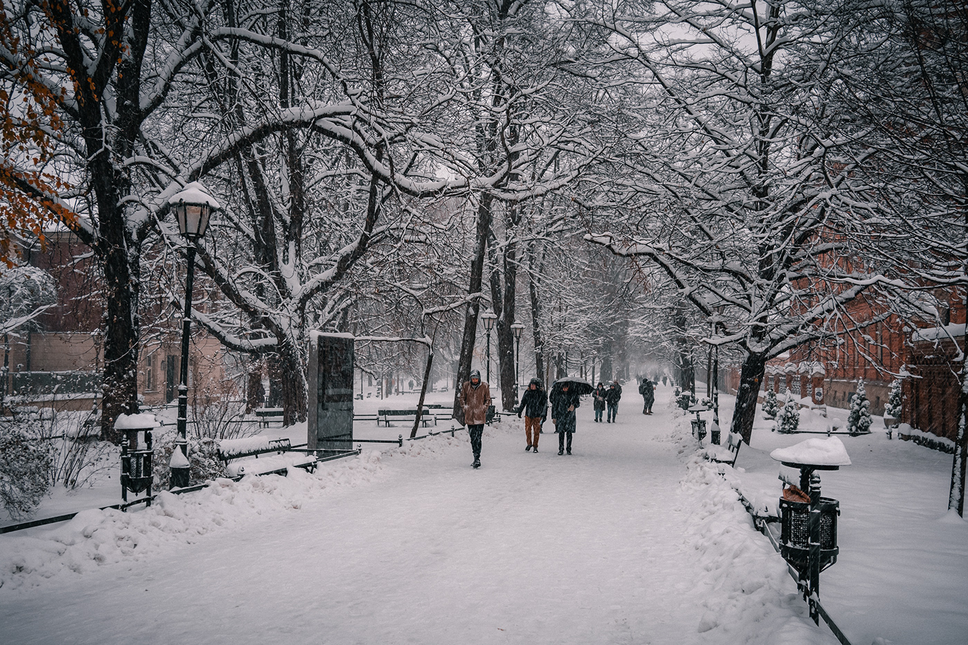 street photography krakow city Photography  poland Europe winter snow trees