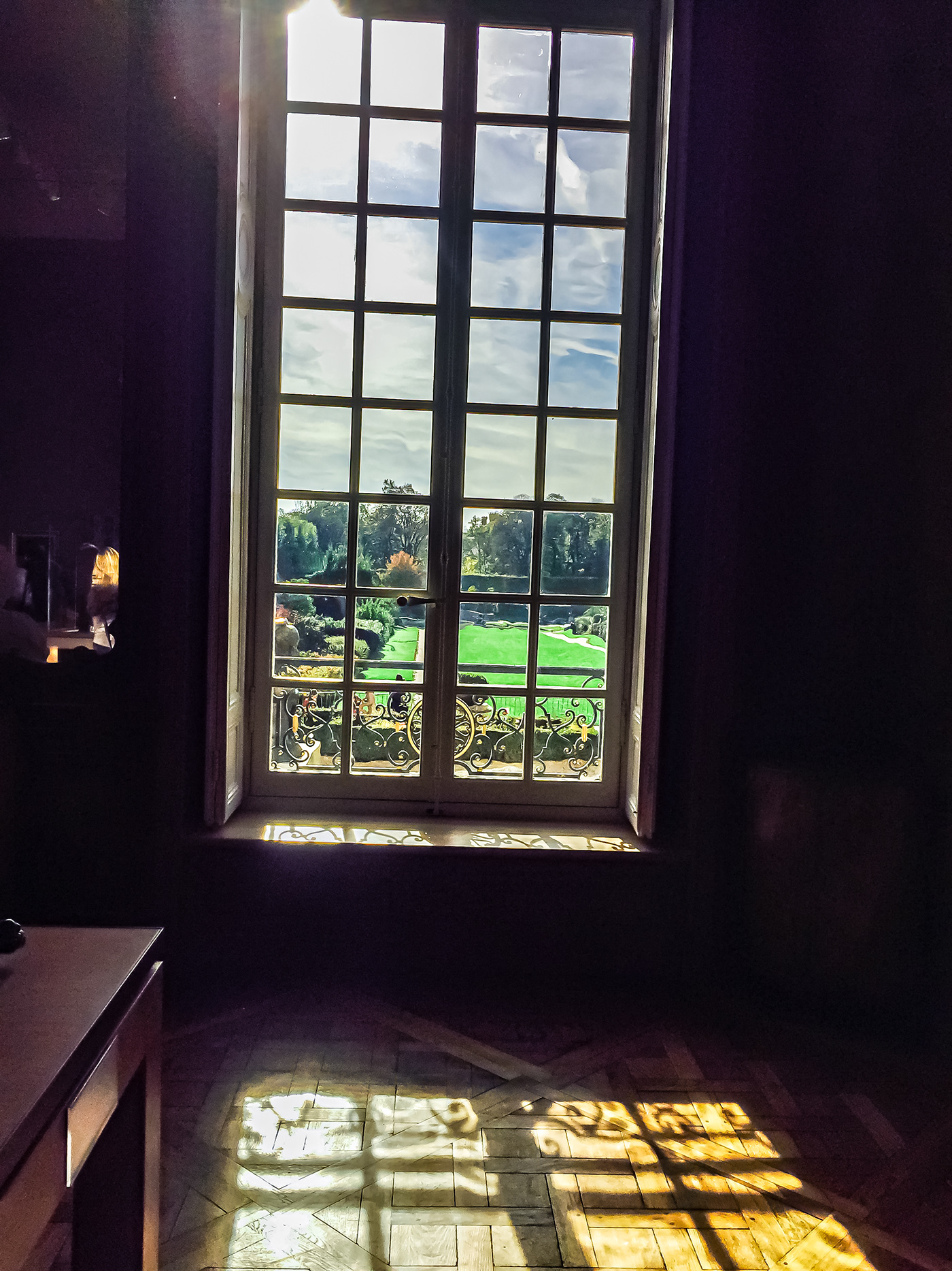 Window Musée Rodin