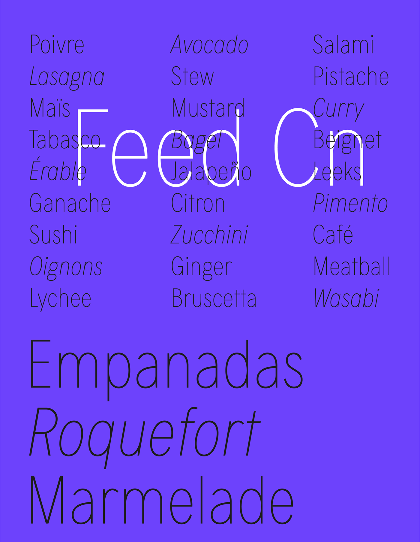 design feed font fontdesign Montreal Typeface typefoundry typography   Feedtype sansserif