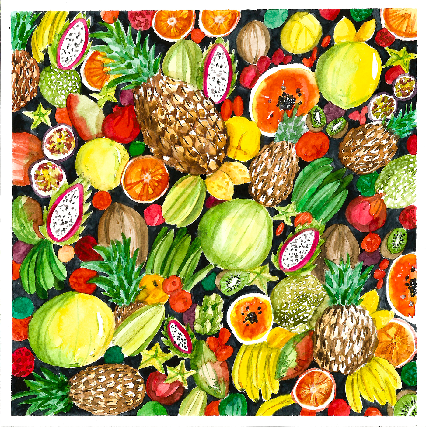 watercolor art tropics Food  Fruit color design ILLUSTRATION  painting  