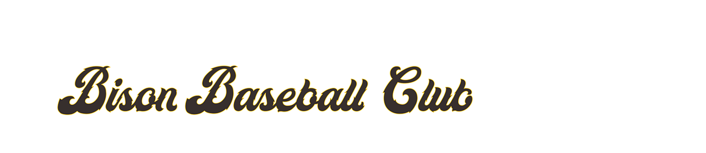 baseball Sports Design bison college summer ILLUSTRATION  Sports Branding Logo Design identity Fun