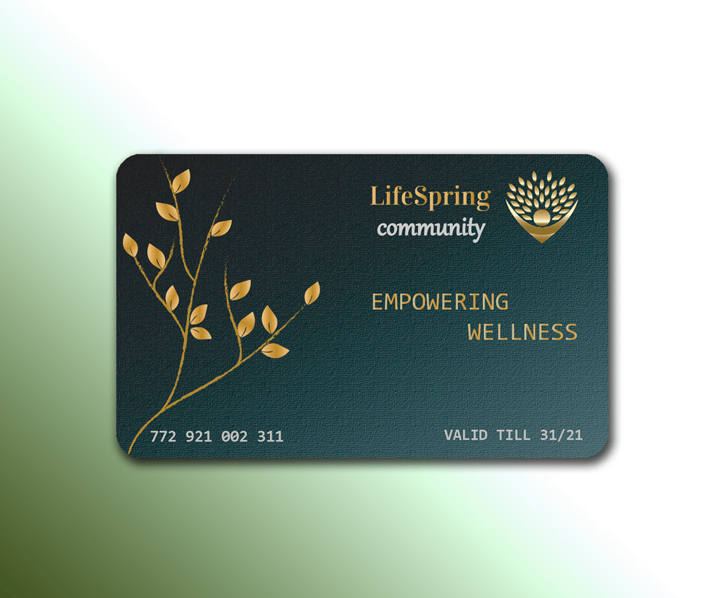 brand identity business business card Business Cards card card design Corporate Identity membership membership card