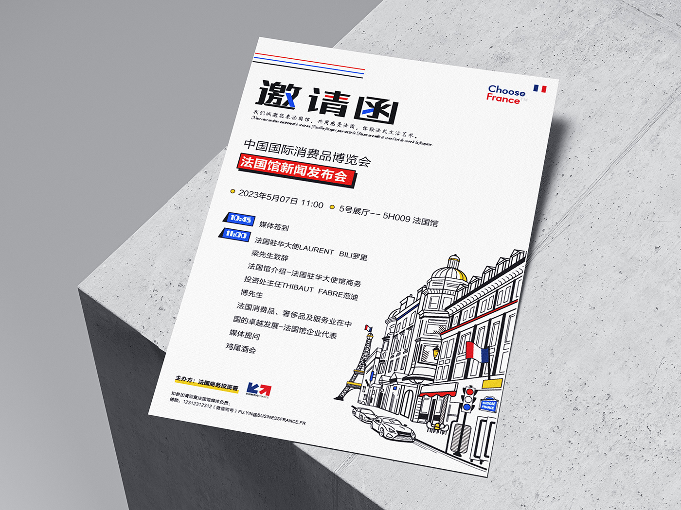 brochure Design Visual Illustration Paris motion graphics  publication