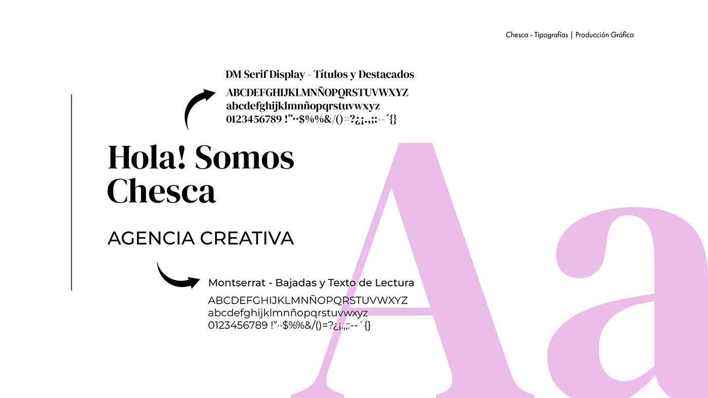 Manual de Marca agencia creativa brand identity Socialmedia Advertising  visual identity Logo Design