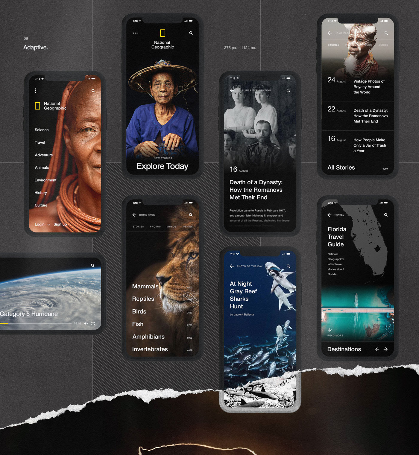 Web Design & UI/UX: National Geographic World Changing Intuitive Site