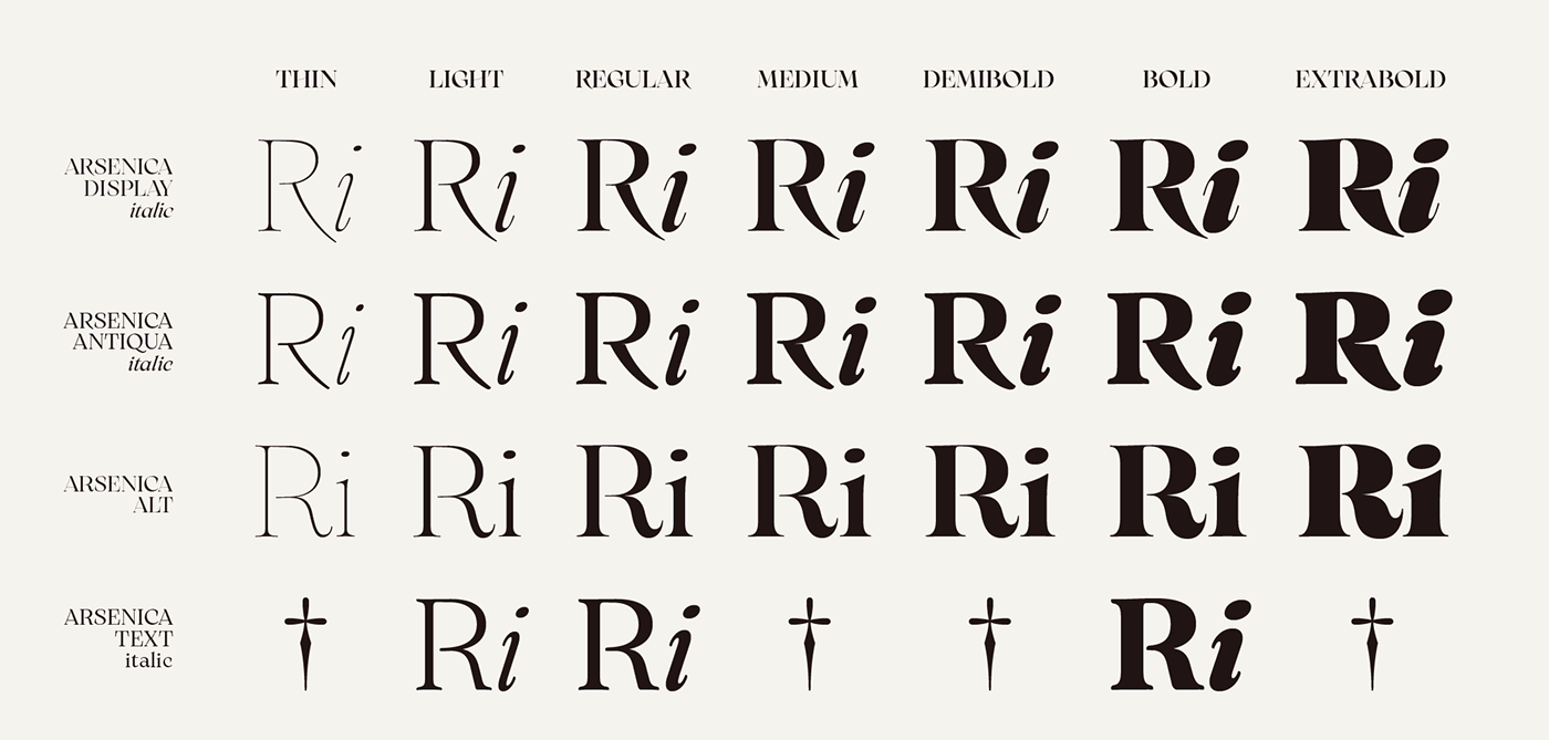 cool elegant serif type typography   branding  editorial font Typeface Typefamily
