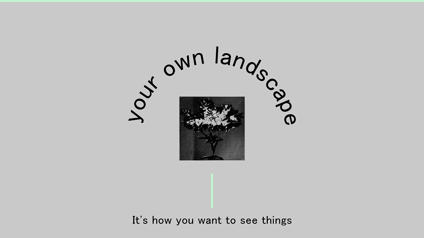 visual identity brand nostalgic Landscape guidelines