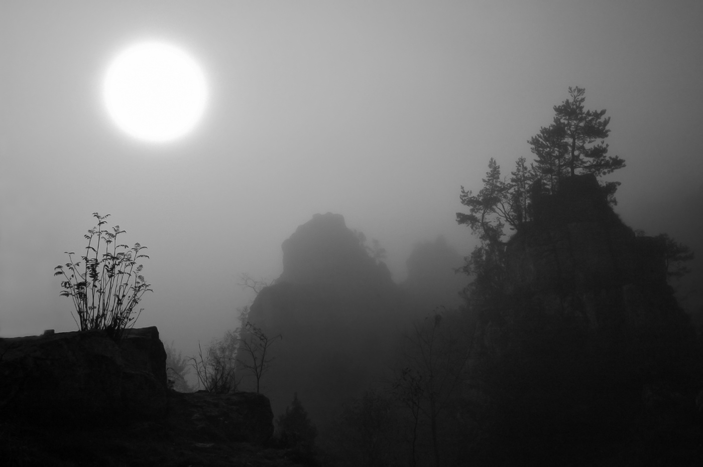 Sun flower Still water Tree  fence mountains wooden church Castle house mist black and white fog