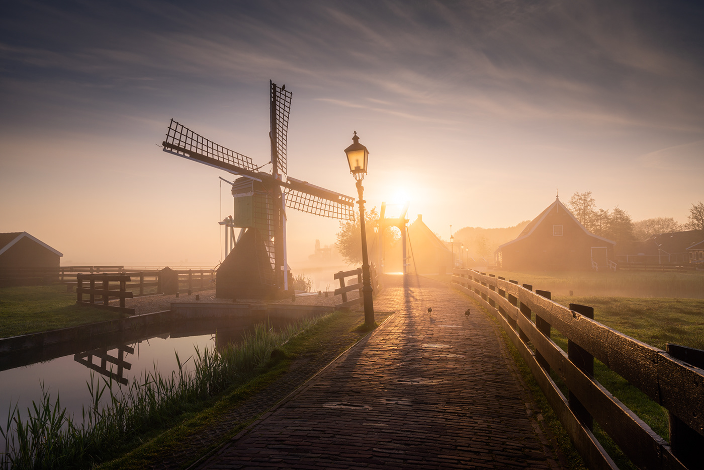 zaanse schans The Netherlands windmills fog dutch amsterdam dutch fairytale dream
