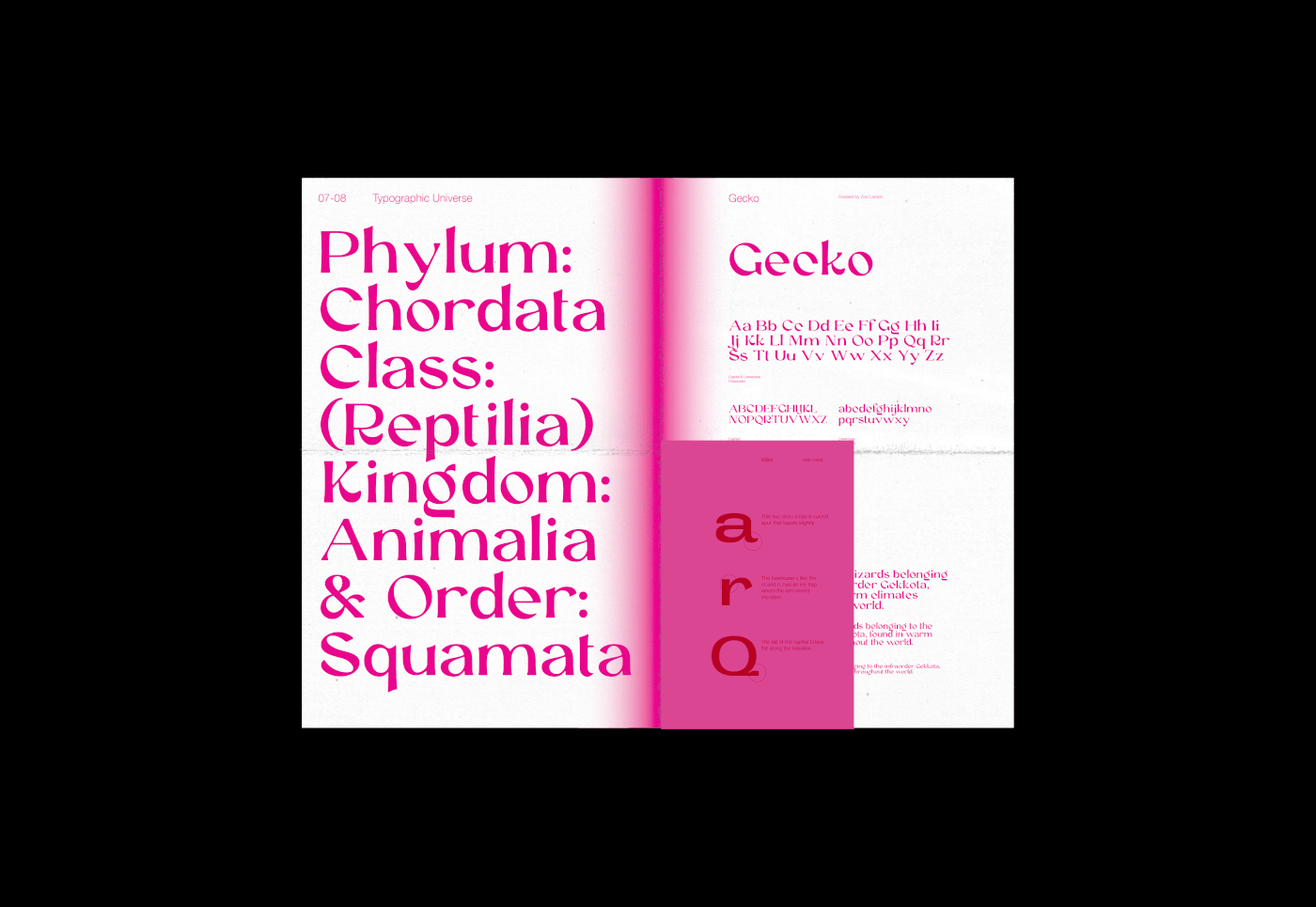 typography   type design glyphs InDesign editorial magazine Layout Design Booklet newspaper graphic design 