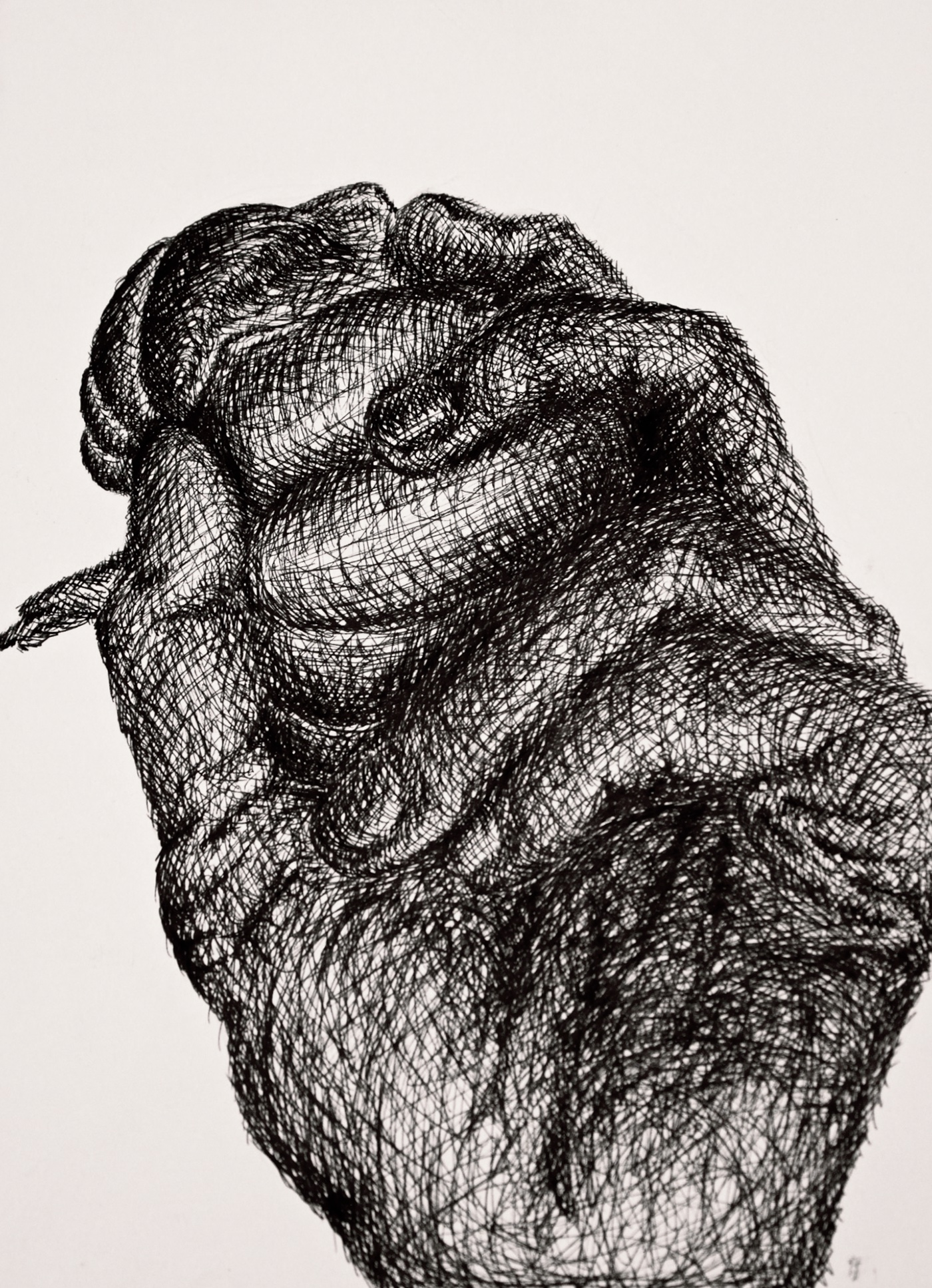 Detailed Hand Drawing on Behance
