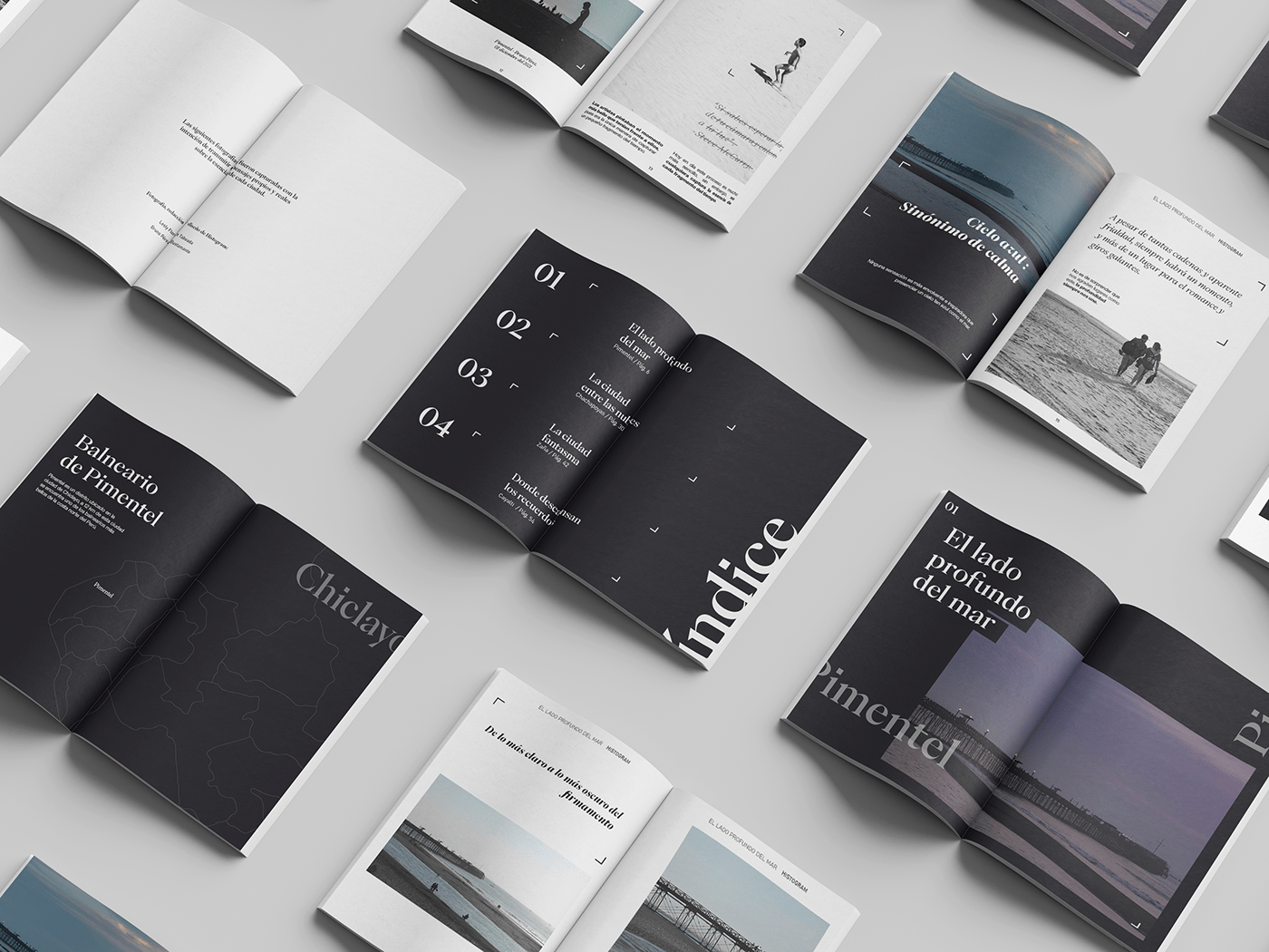 book editorial font InDesign Magazine Cover Magazine design photographer Photography  photoshoot typography  