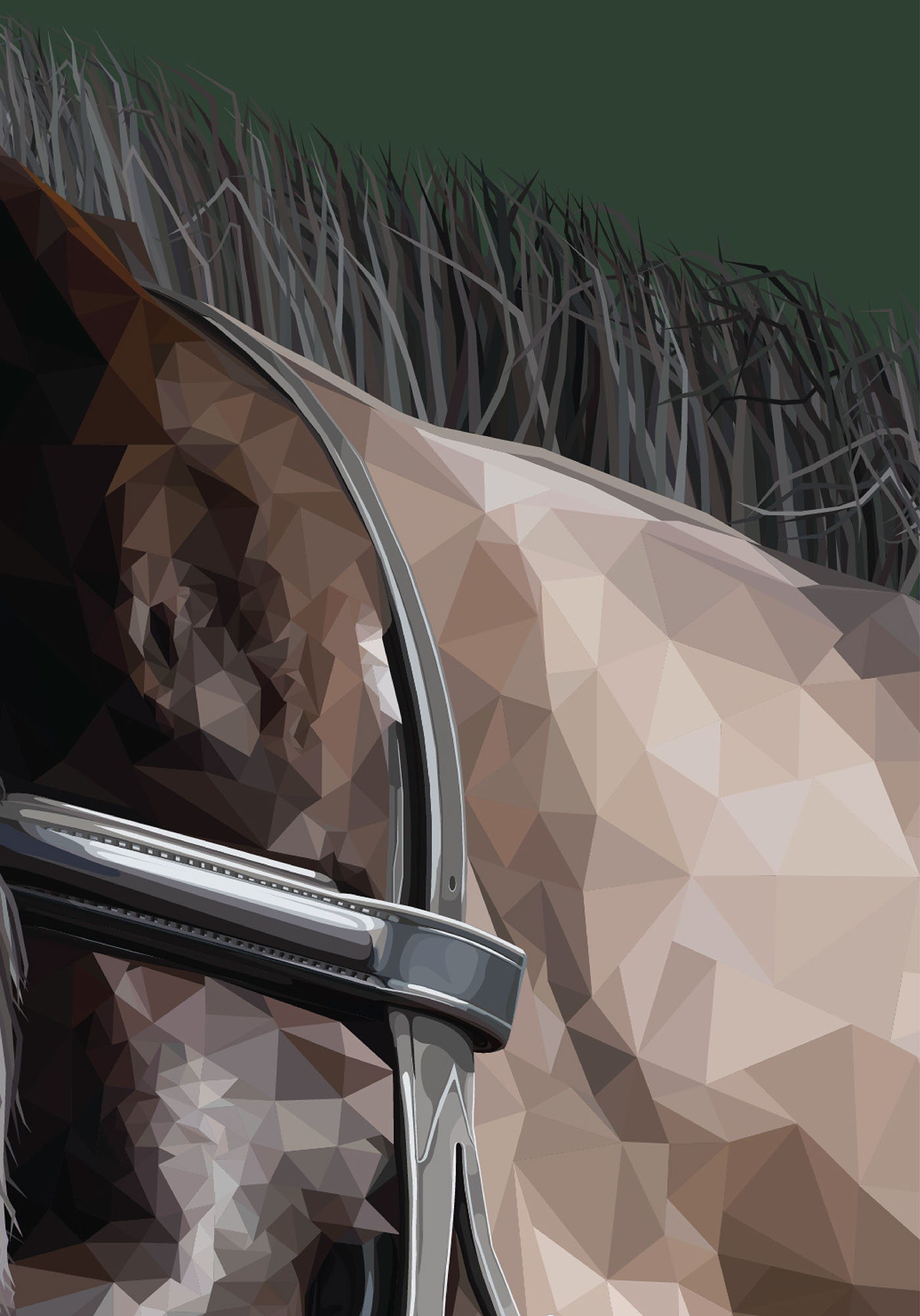 detail horse Digital Art  graphic design  ILLUSTRATION 
