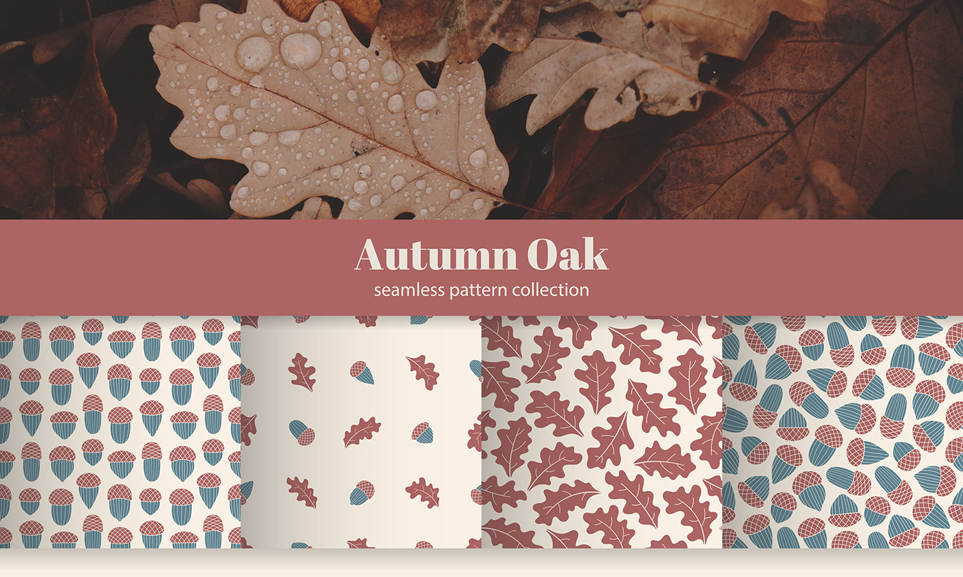 autumn pattern seamless Collection Fall floral botanical oak Nature set