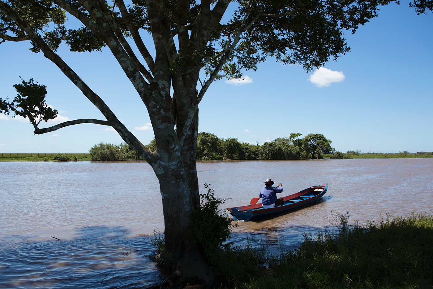 buffalos Cattle ranch river Island marajo Brazil Documentary  reportage storytelling  