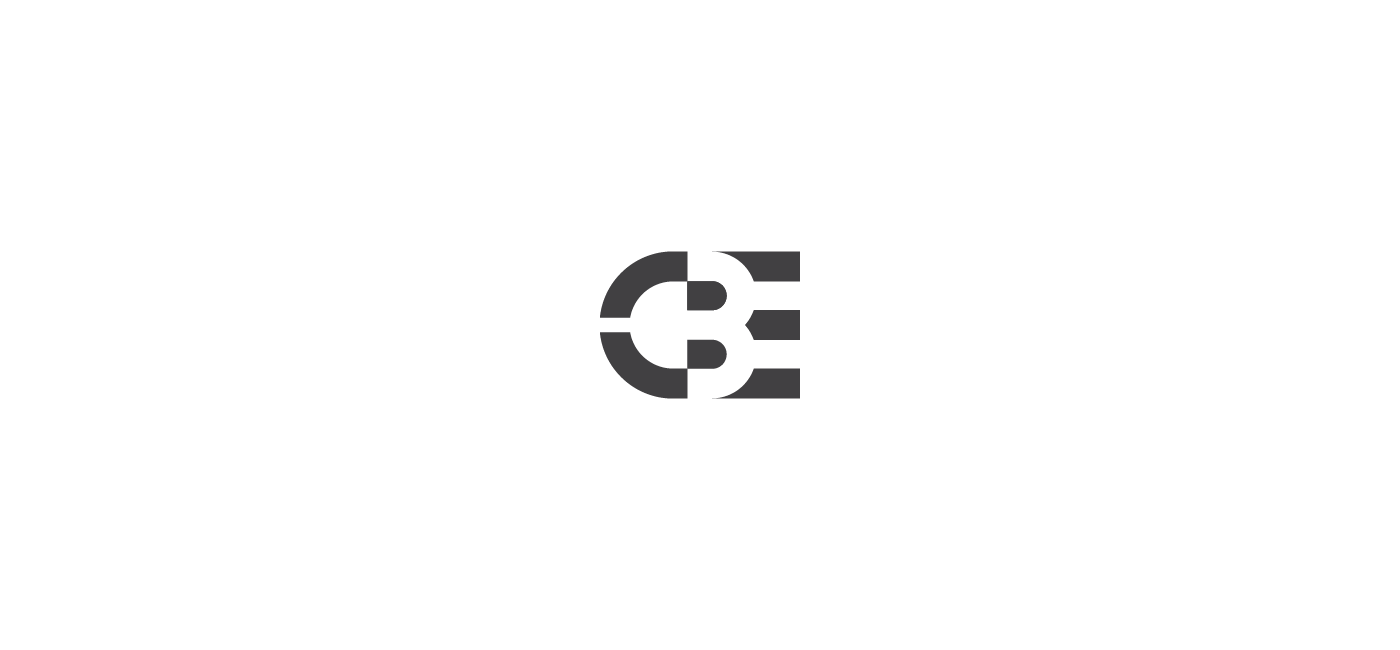 logo Logotype identity branding  mark logos type typography   brand identity UI