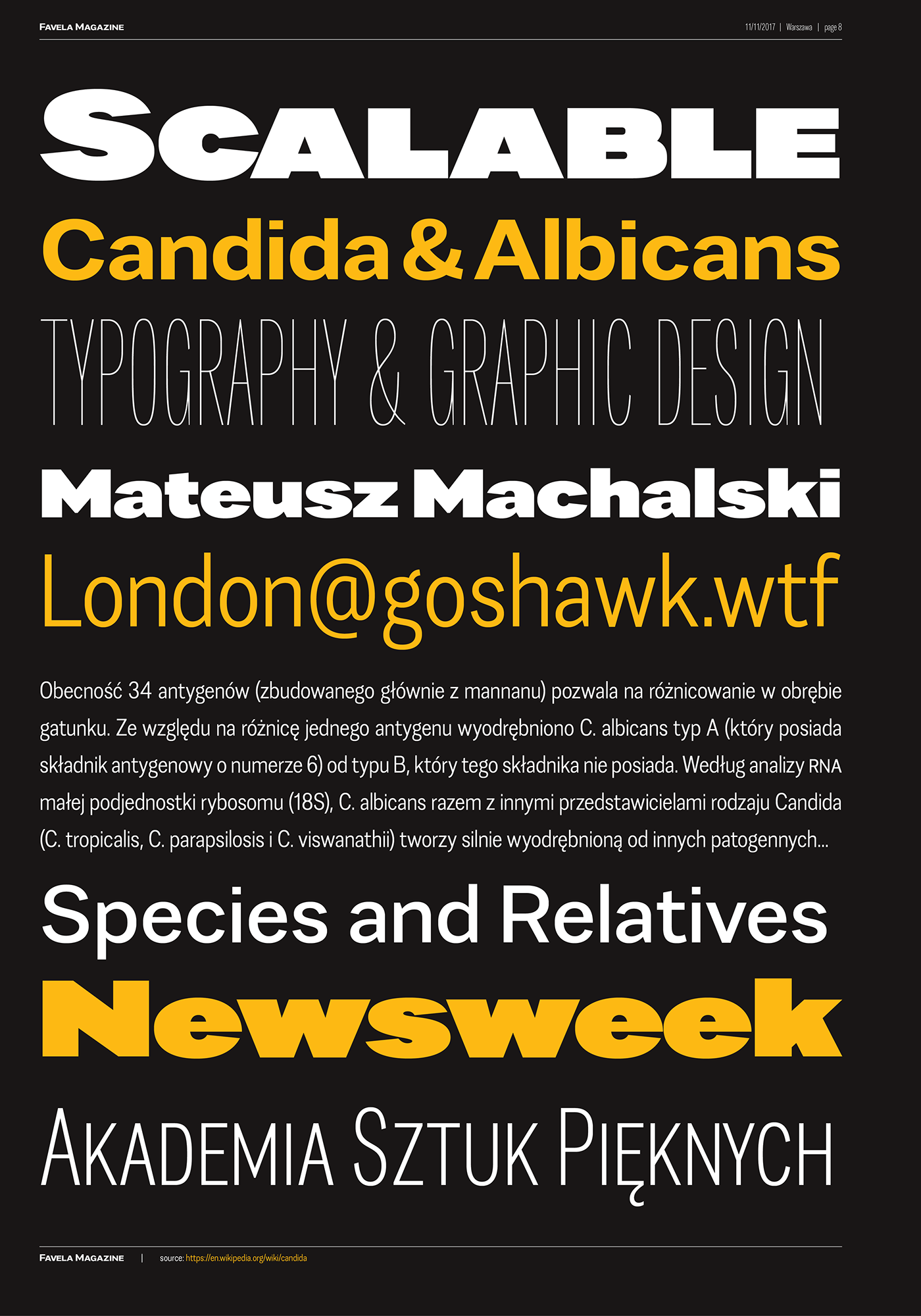 favela Mateusz Machalski  Typeface specimen font black hairline posters typographic posters Type System